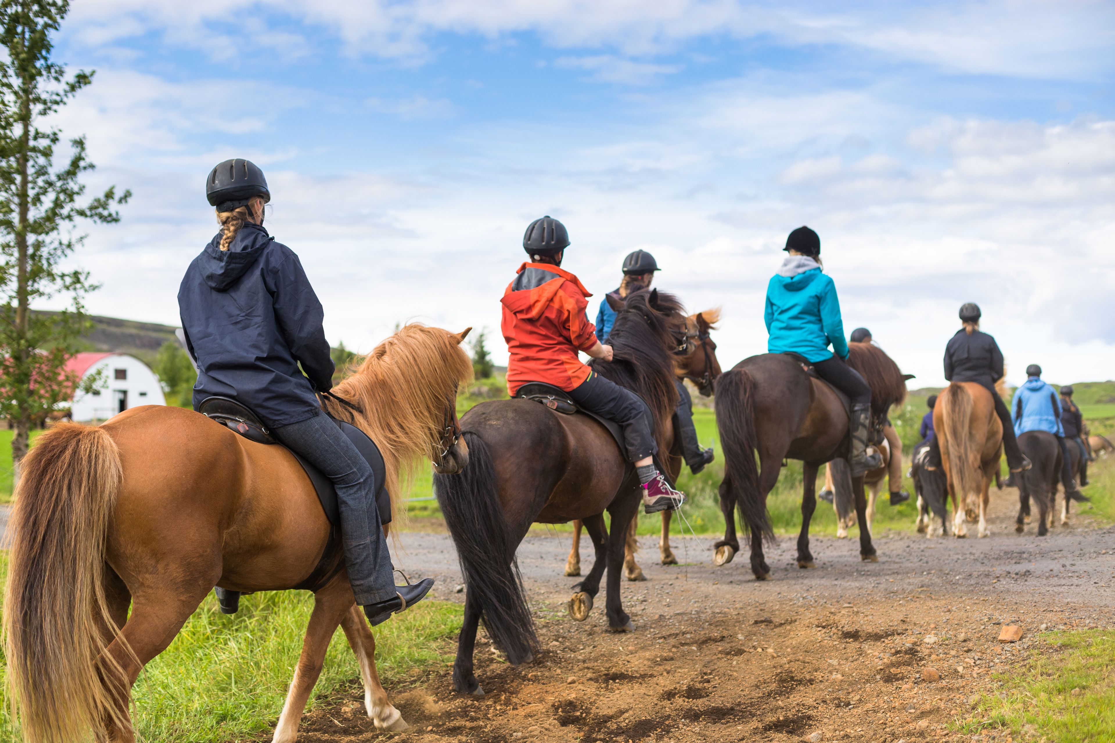 Group horseback riding in Iceland