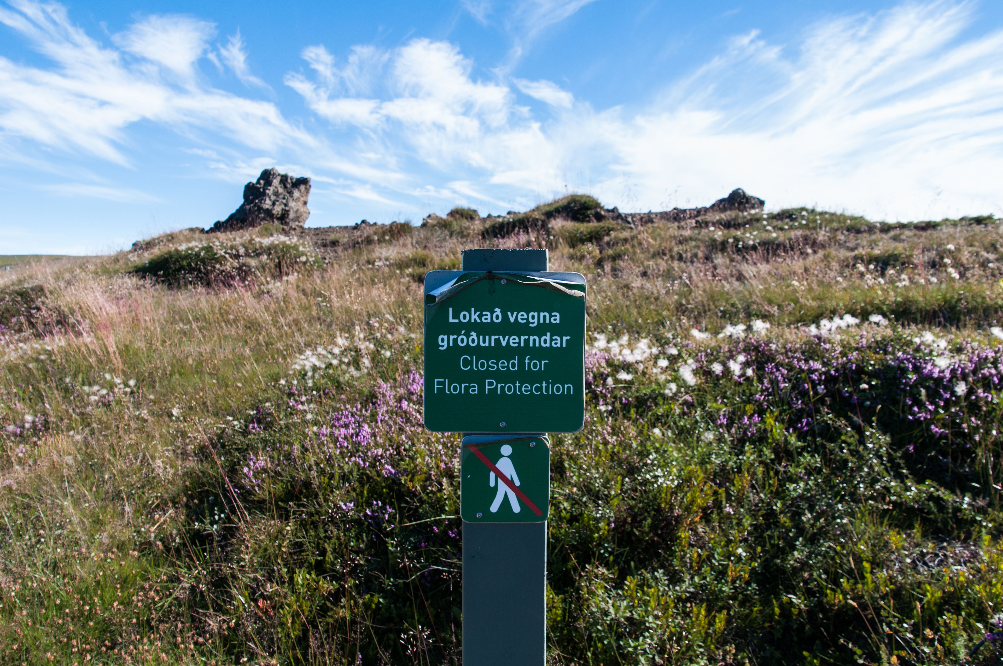 Icelandic sign in the middle of  trail