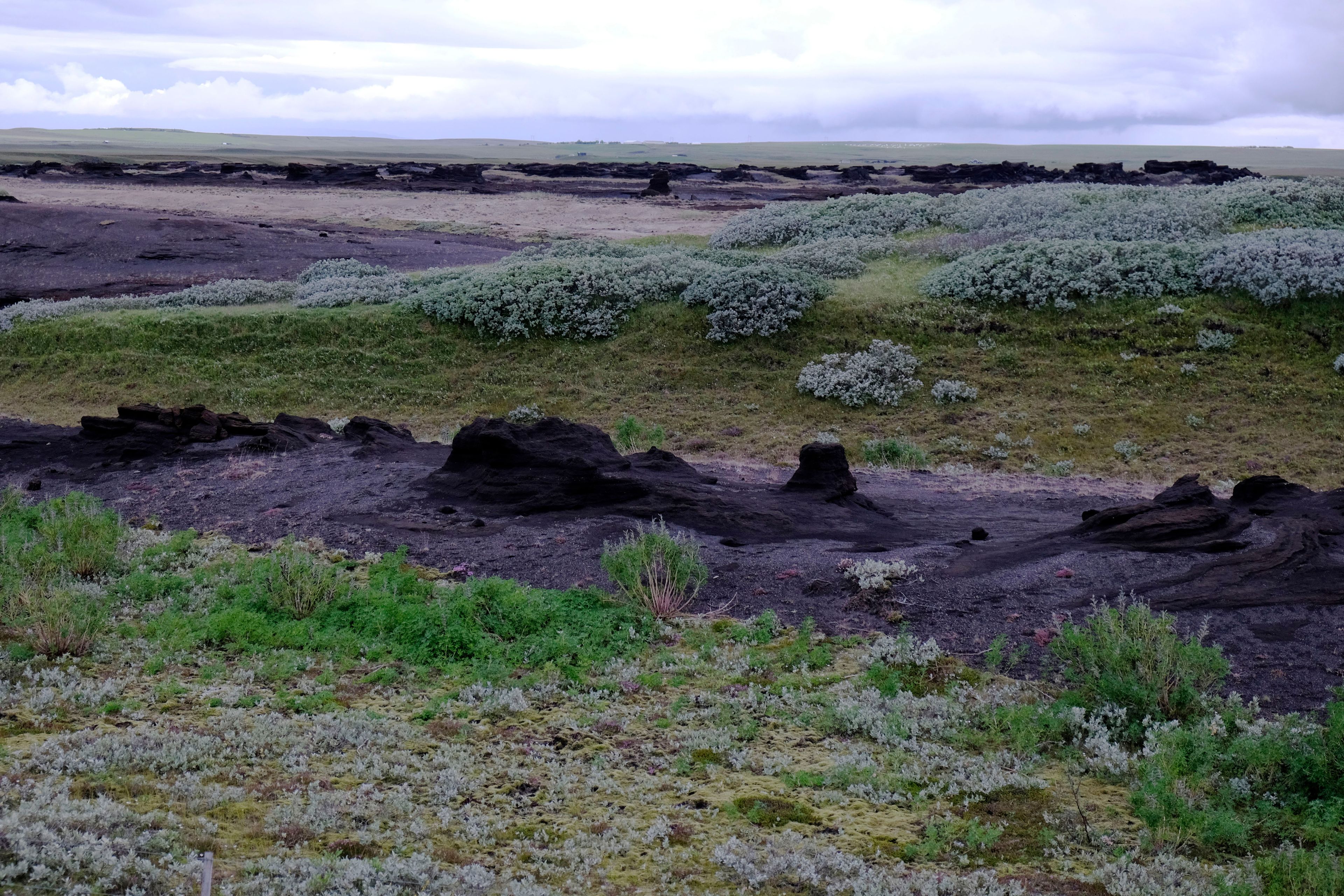 Lava fields near Hella