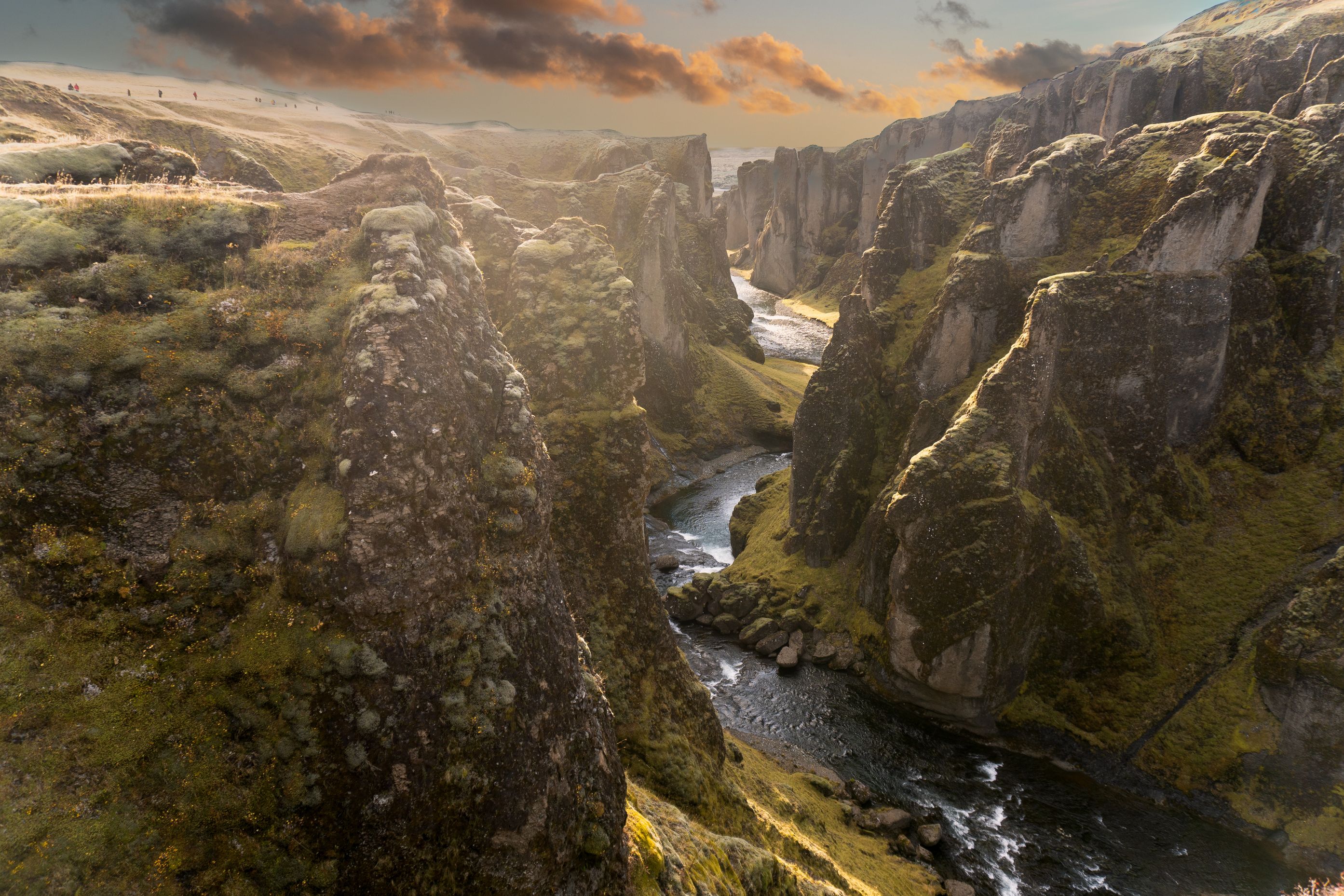 Fjaðrárgljúfur Canyon