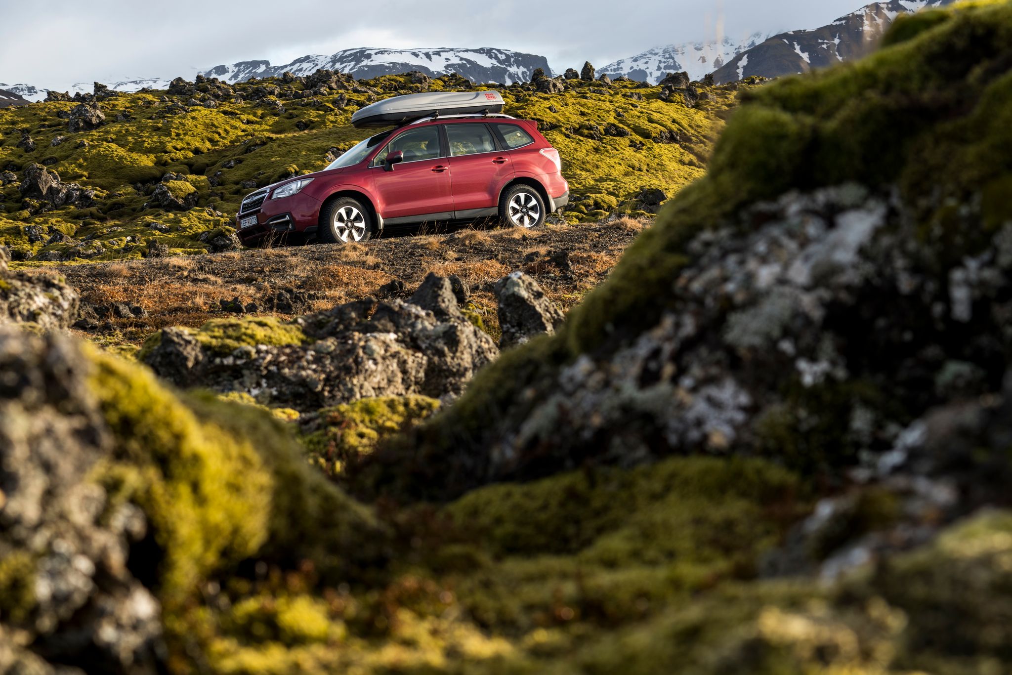 Red Subaru Forester parked in Iceland