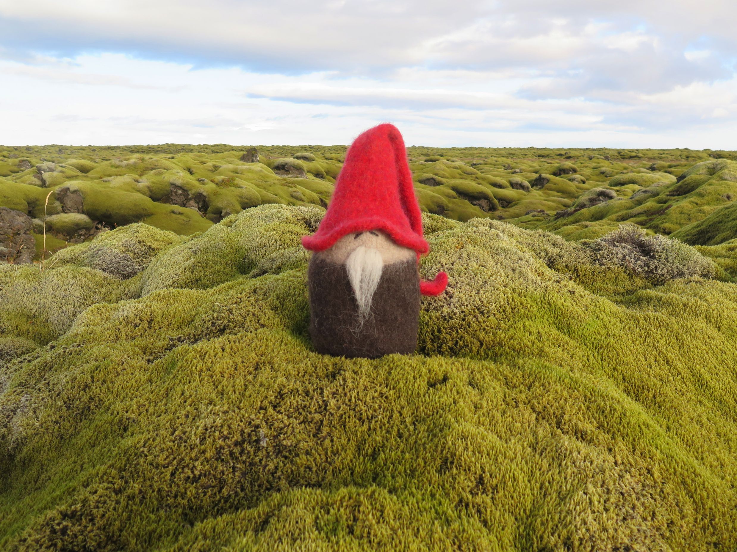 small elf coming out of the moss in Iceland