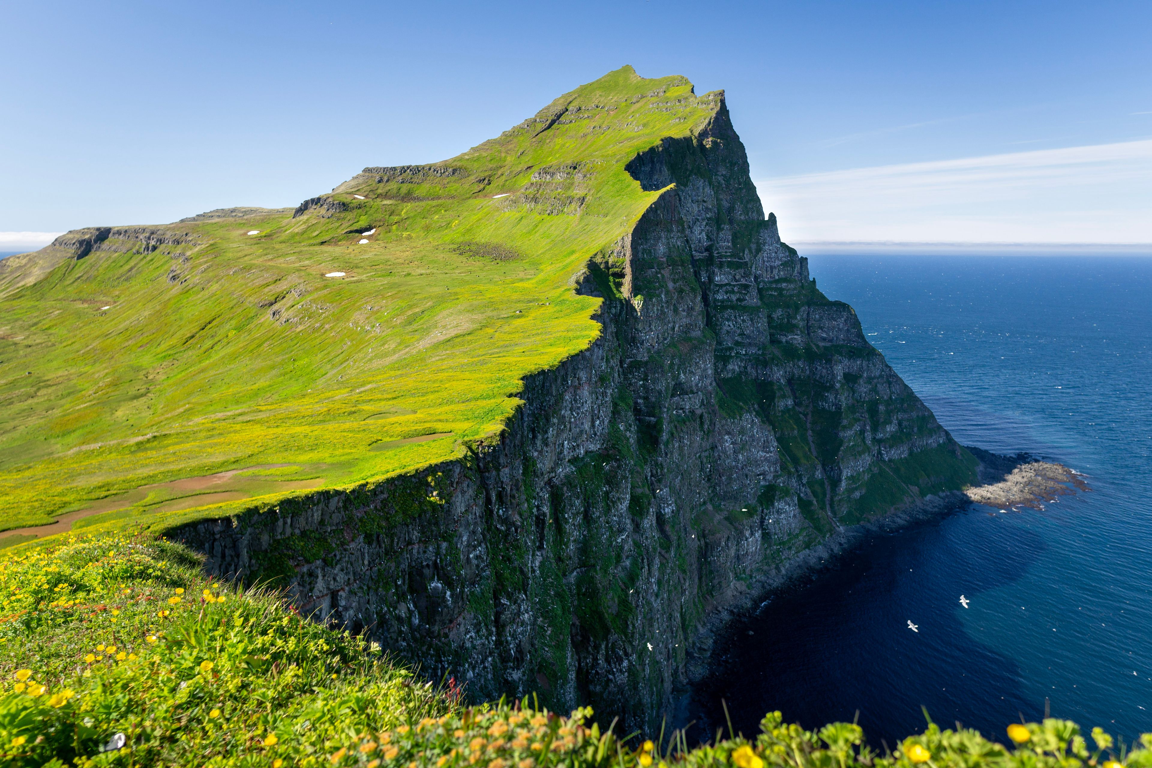 Hornbjarg cliffs in Hornstrandir nature reserve