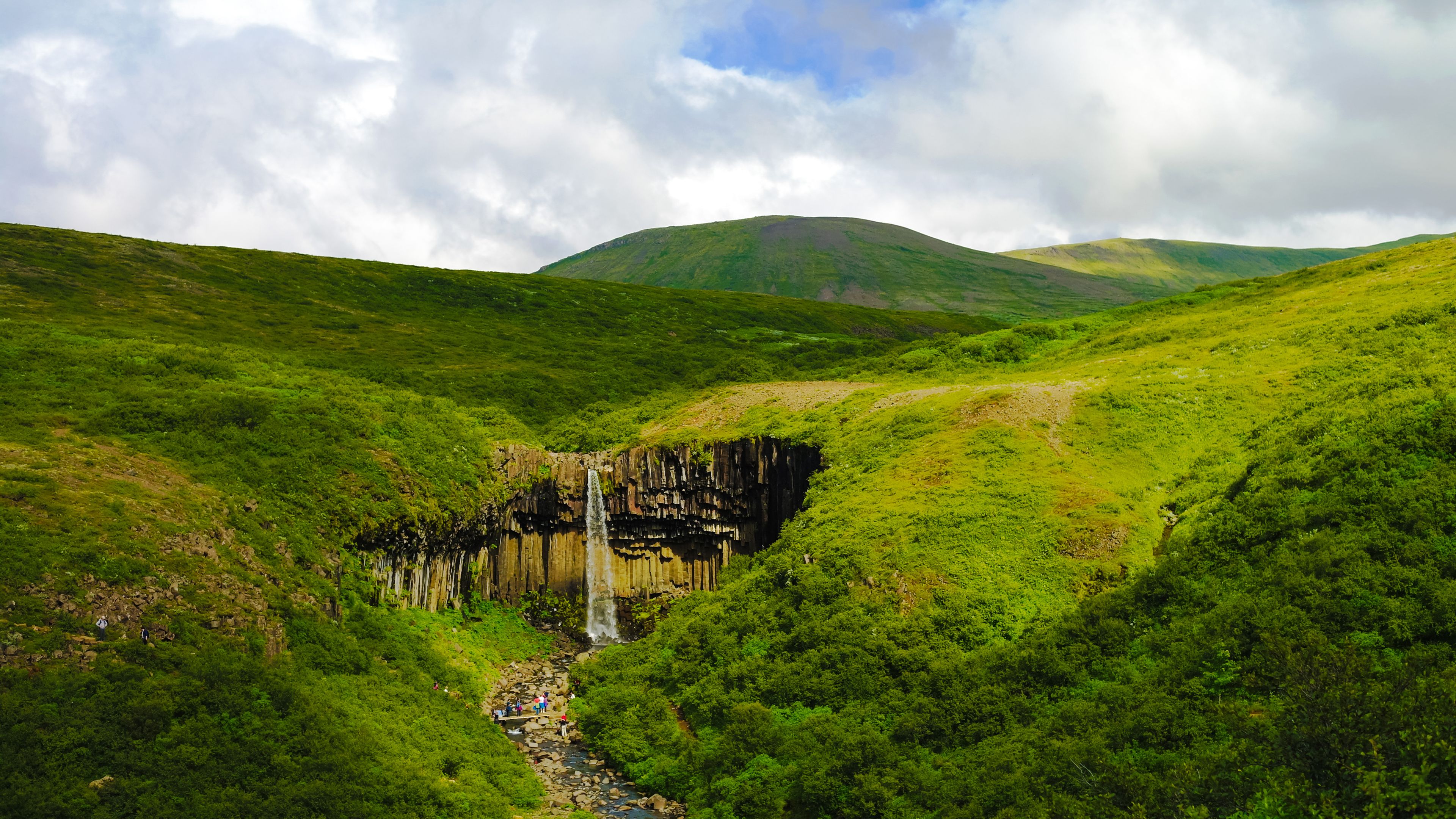 Panoramic picture of Svartifoss Waterfall surrounded by lush green