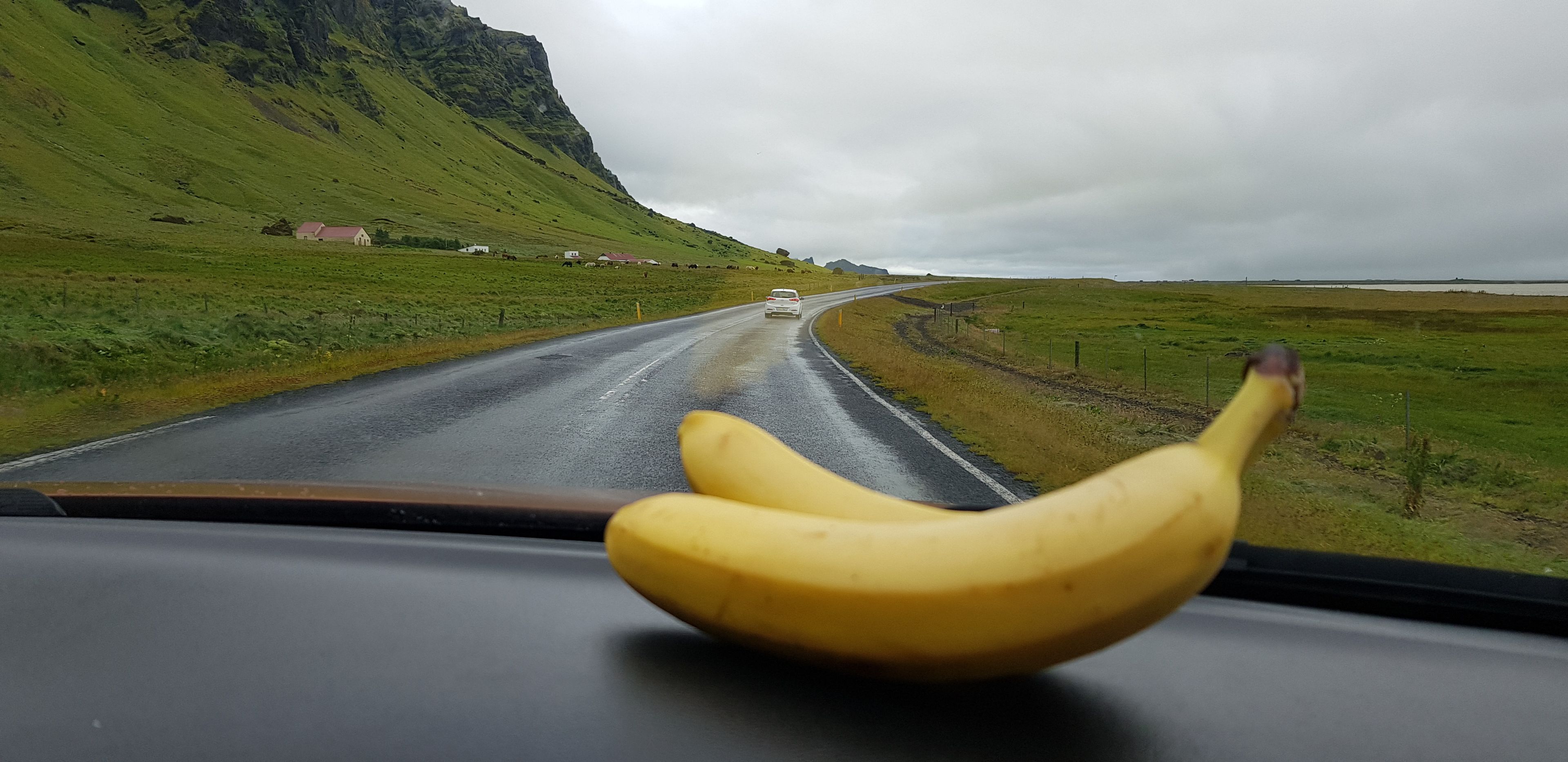 Bananas in front of windshield in a car driving through iceland