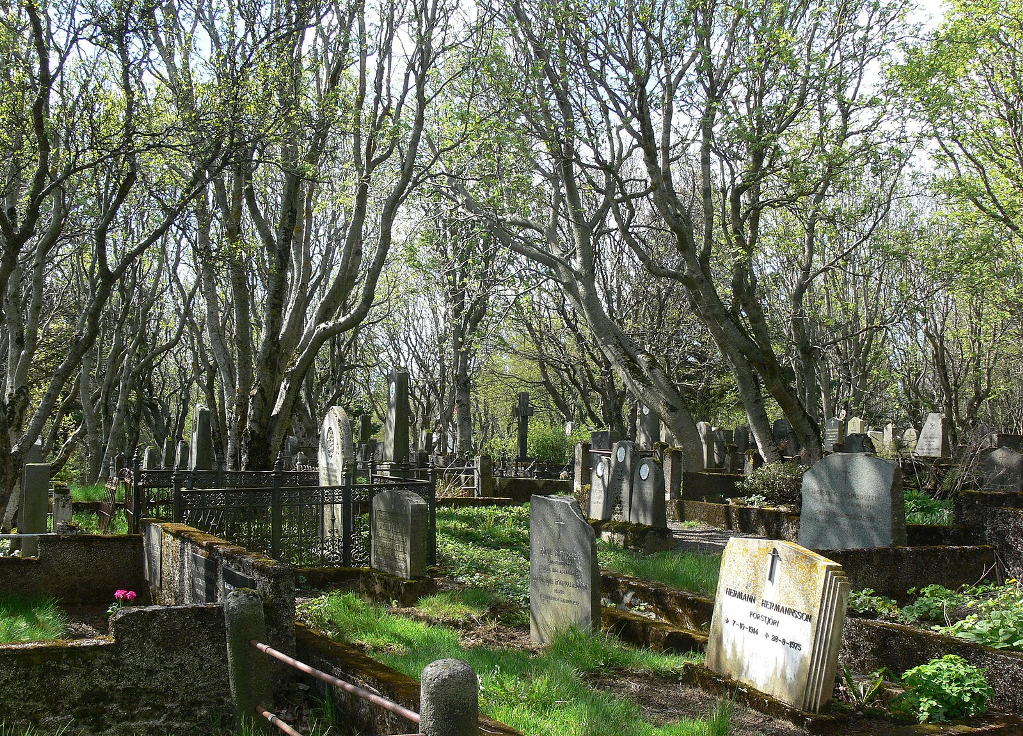 Cementerio de Hólavallagarður