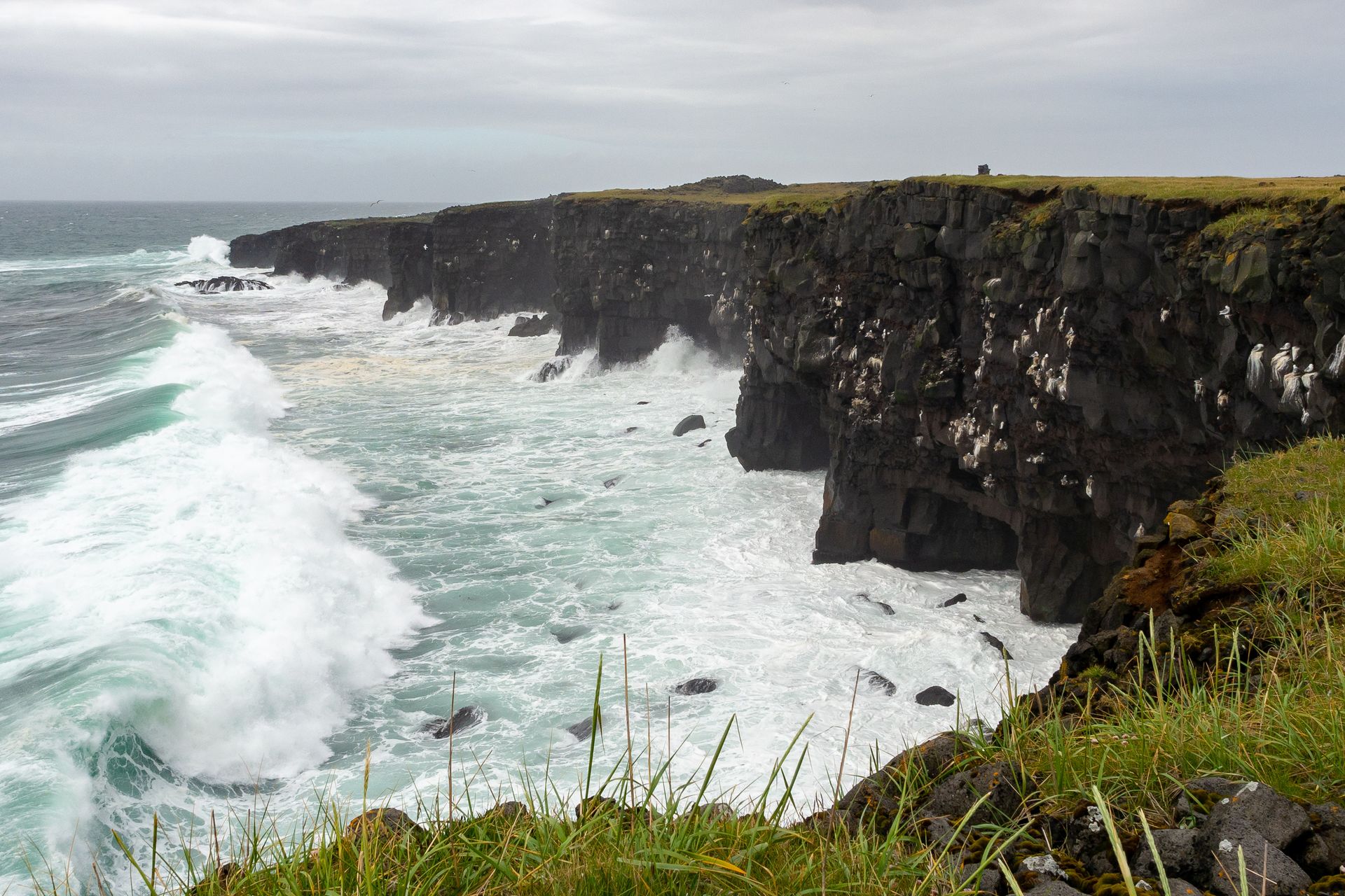 View on sea cliffs and the ocean, Hafnarberg, in Iceland