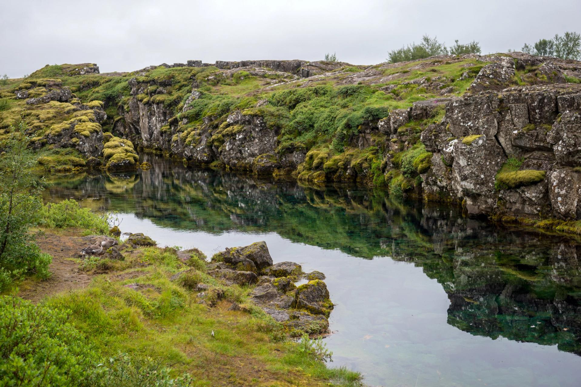 Silfra Fissure in Þingvellir National Park with crystal clear waters and lush green landscape