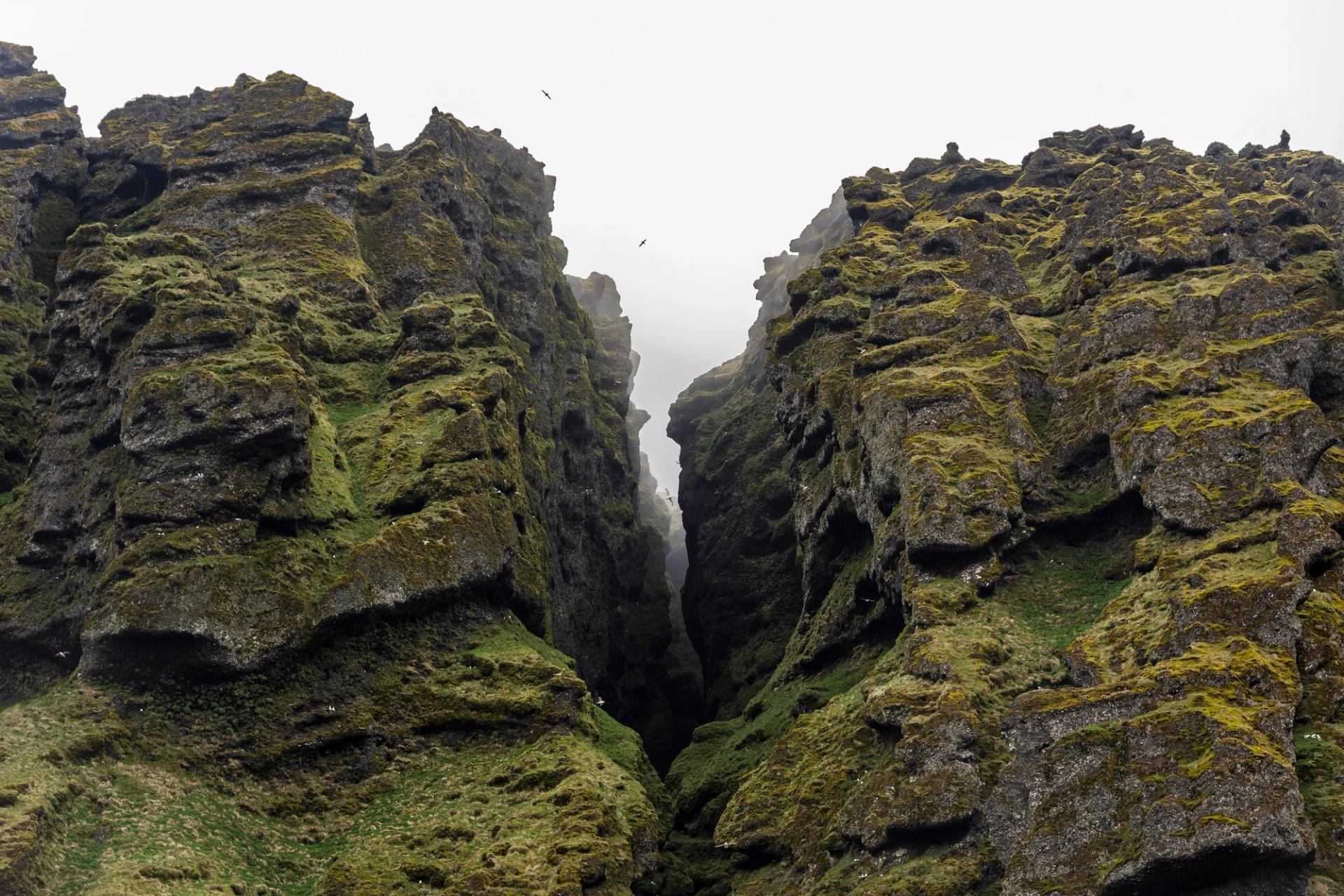 The narrow fissure and mossy rocks of Rauðfeldsgjá Gorge.