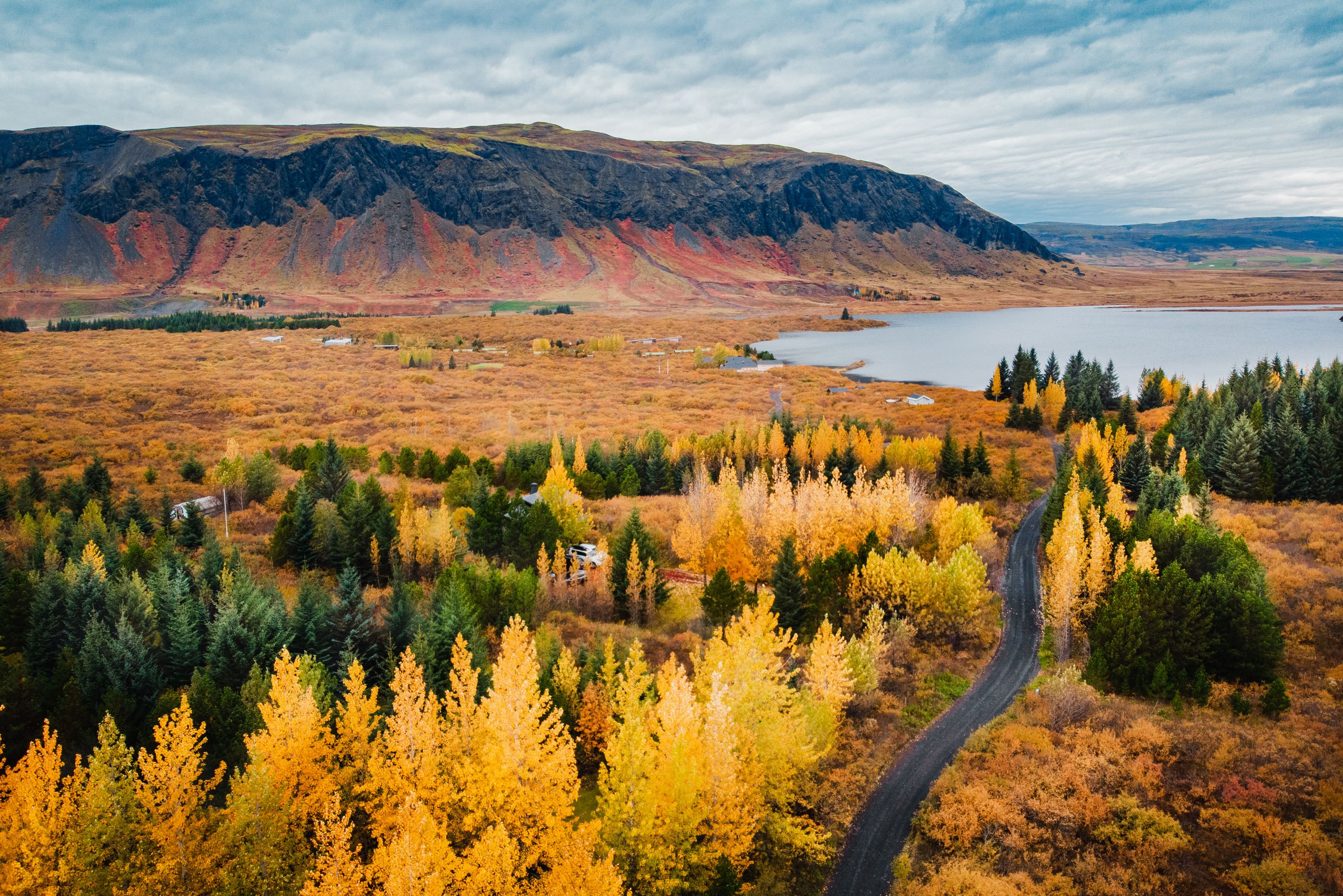 Lake, mountains, and trees with autumn colors in Iceland