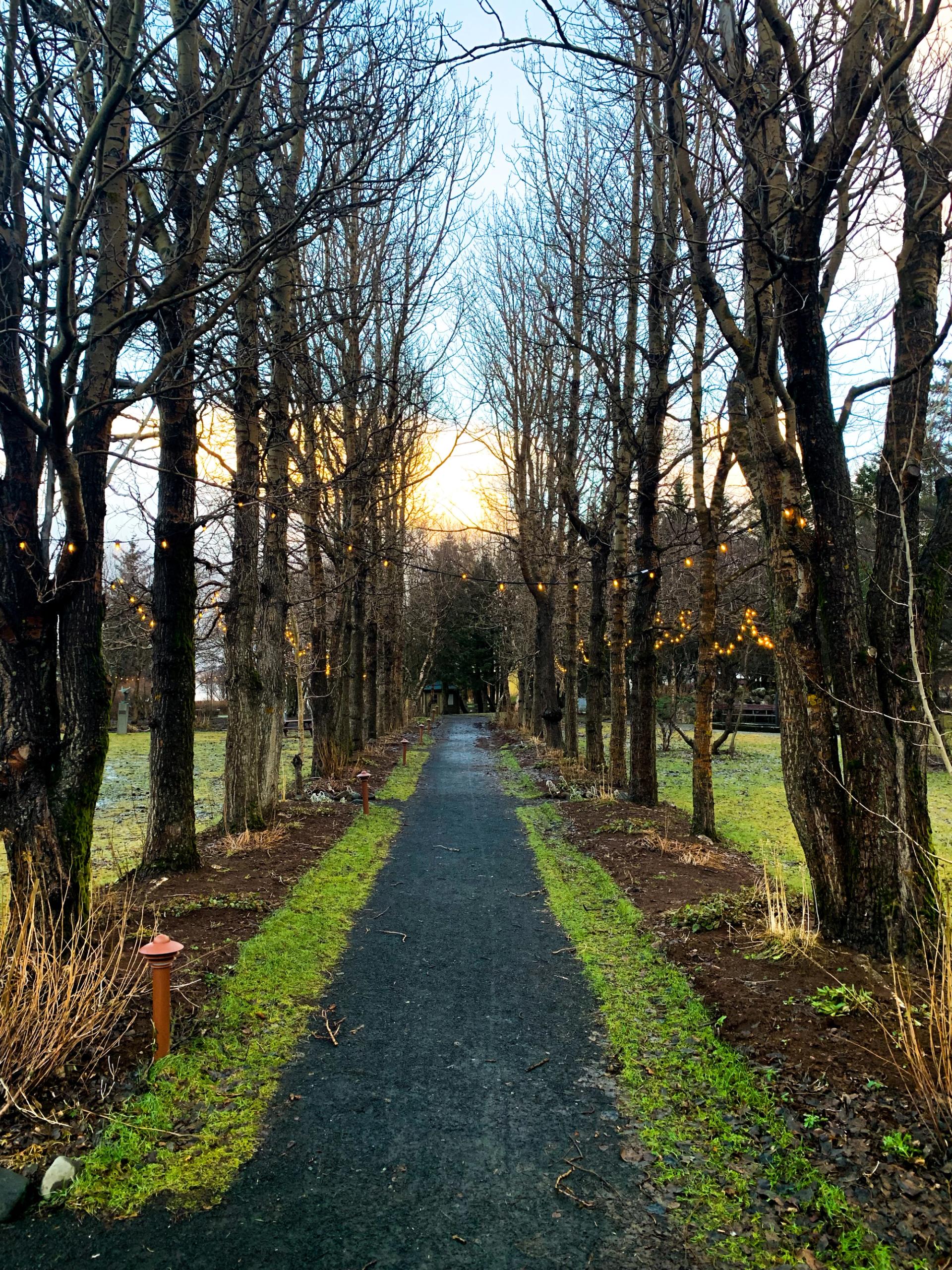 Path in Skallagrímsgarður Park, Borgarnes