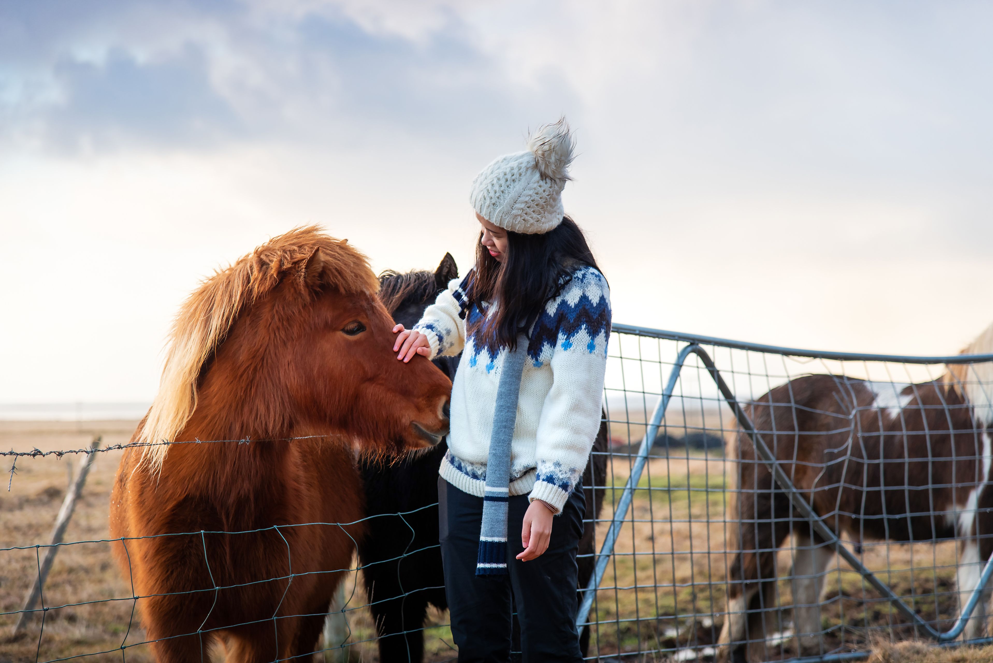 woman with a horse in iceland.