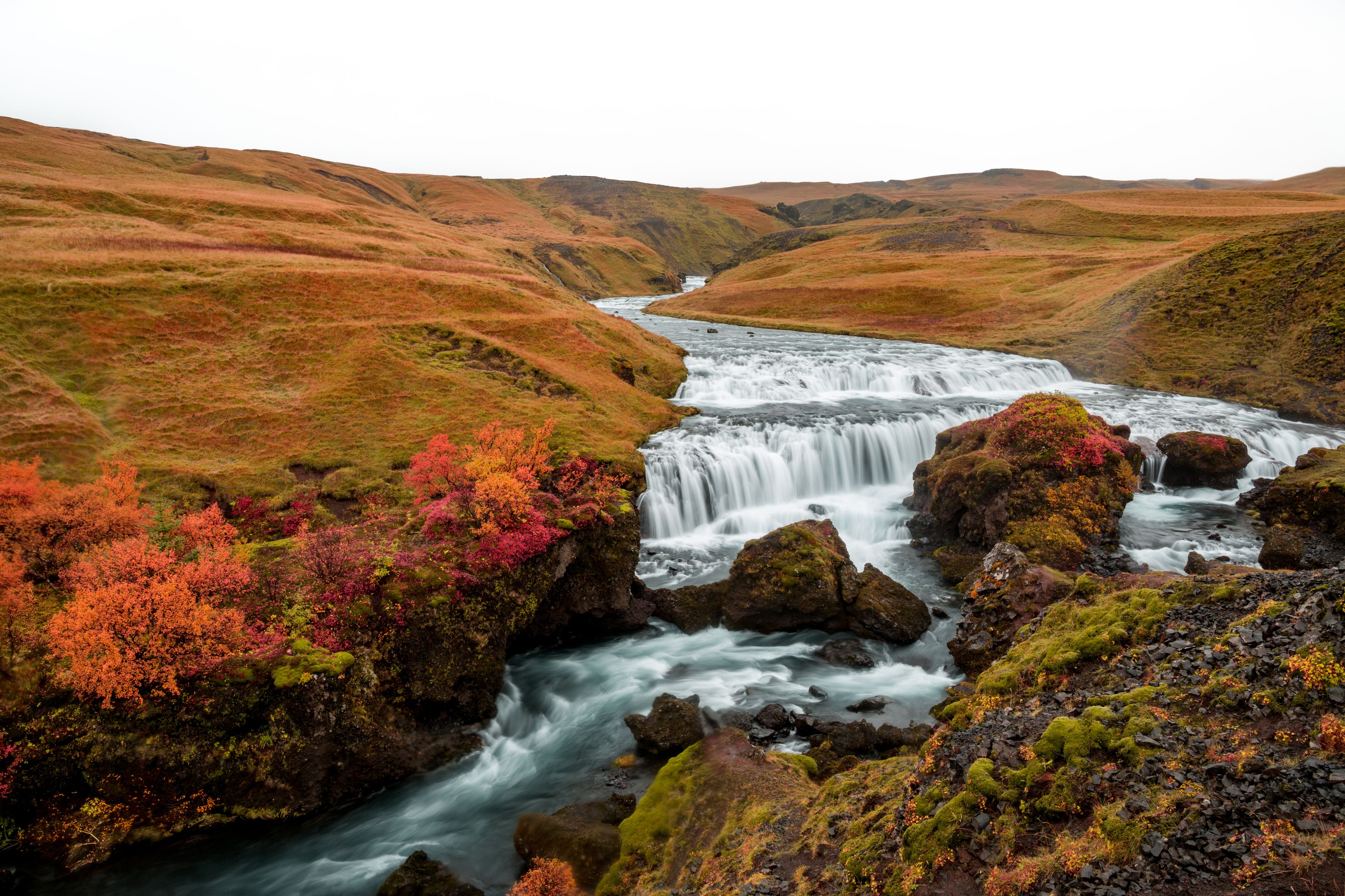 Waterfall in Iceland surrounded by a fall scenery