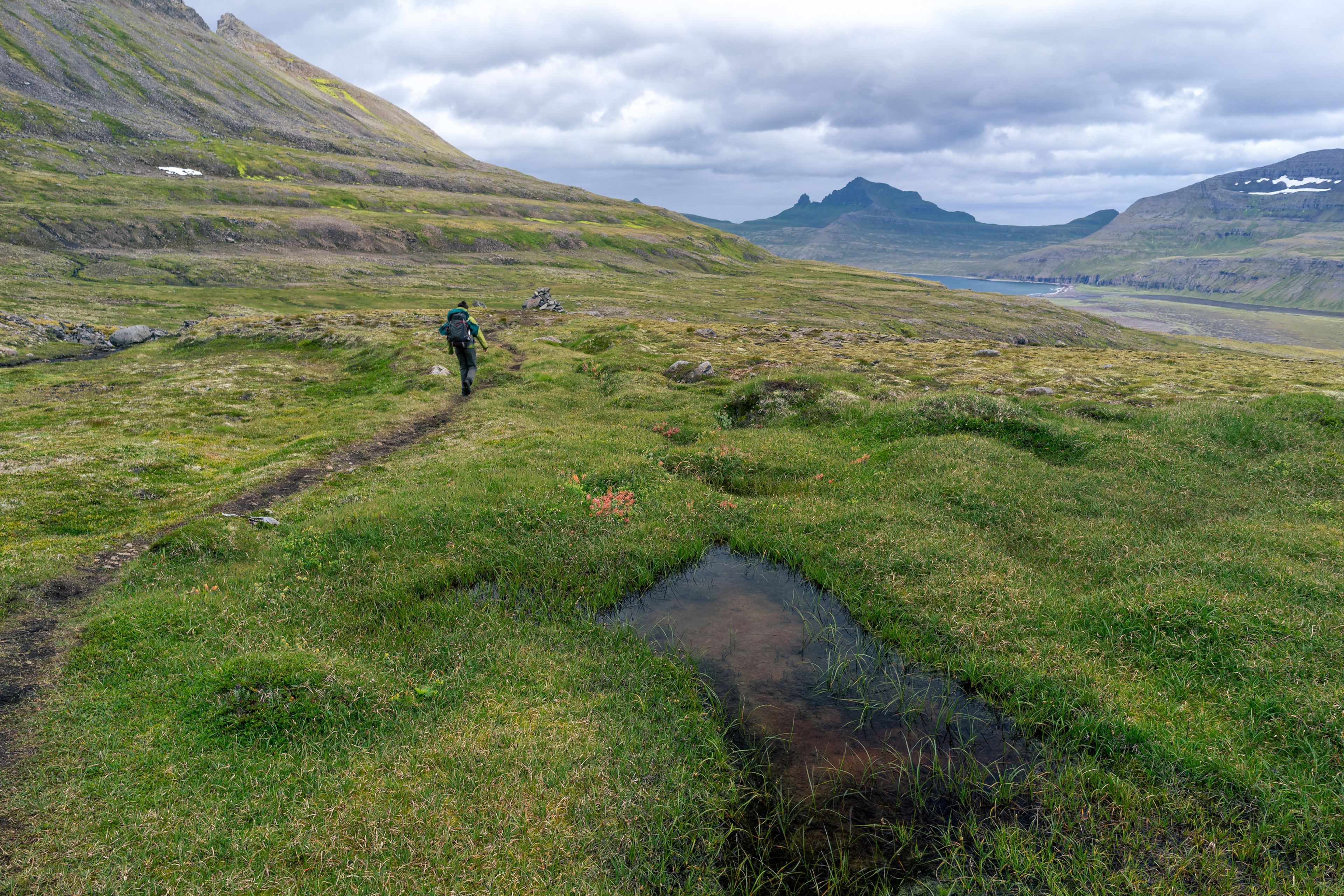 Hornstrandir Nature Reserve Trail