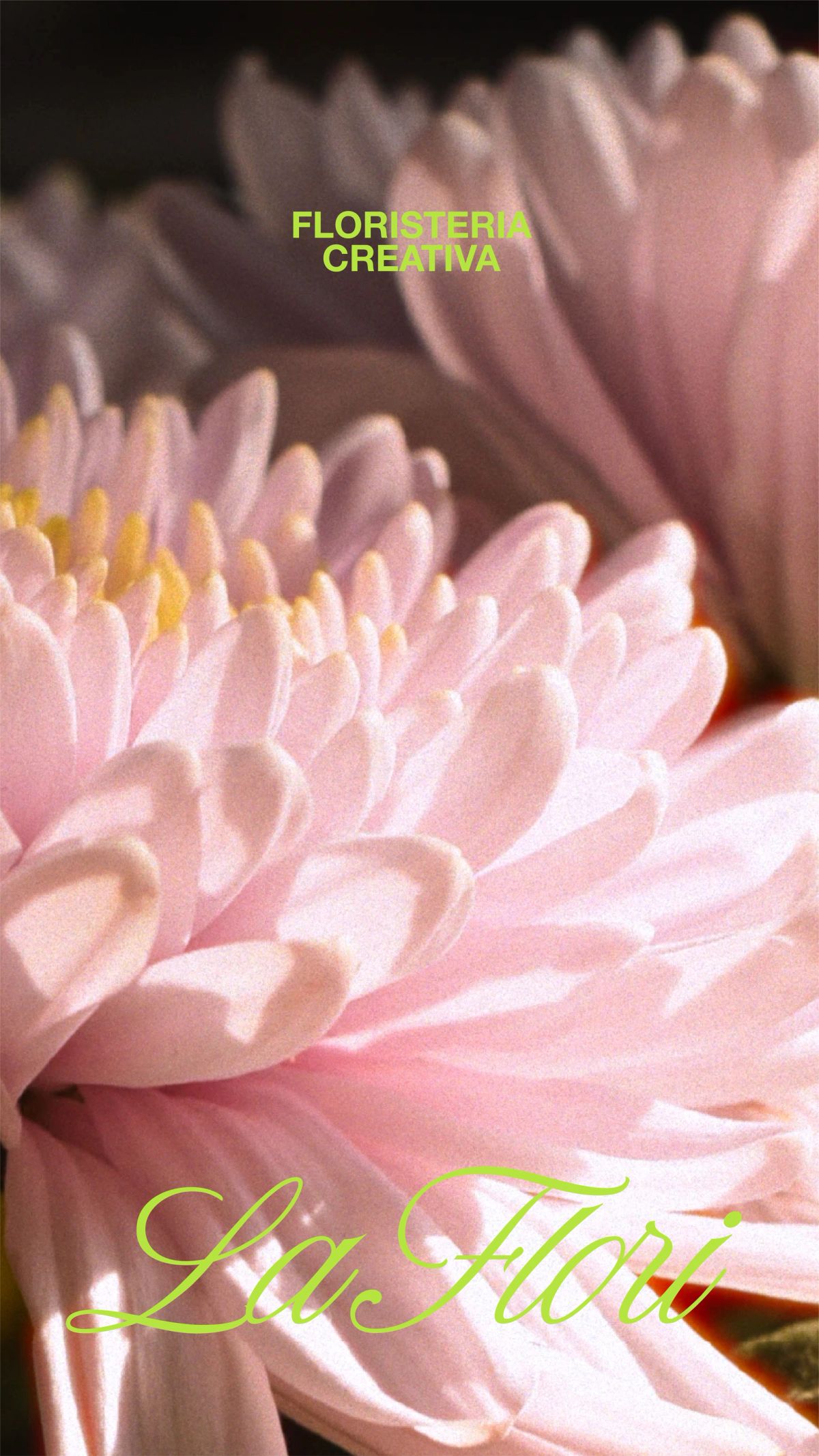 La Flori