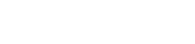 Pioneer Group