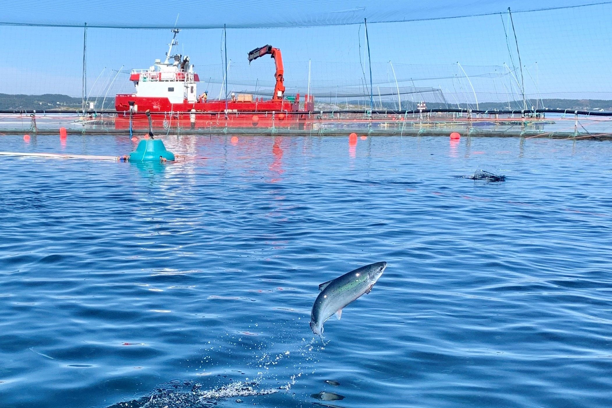 Norway Pavilion at Seafood Processing Global (SPG) 2023 Norway Events