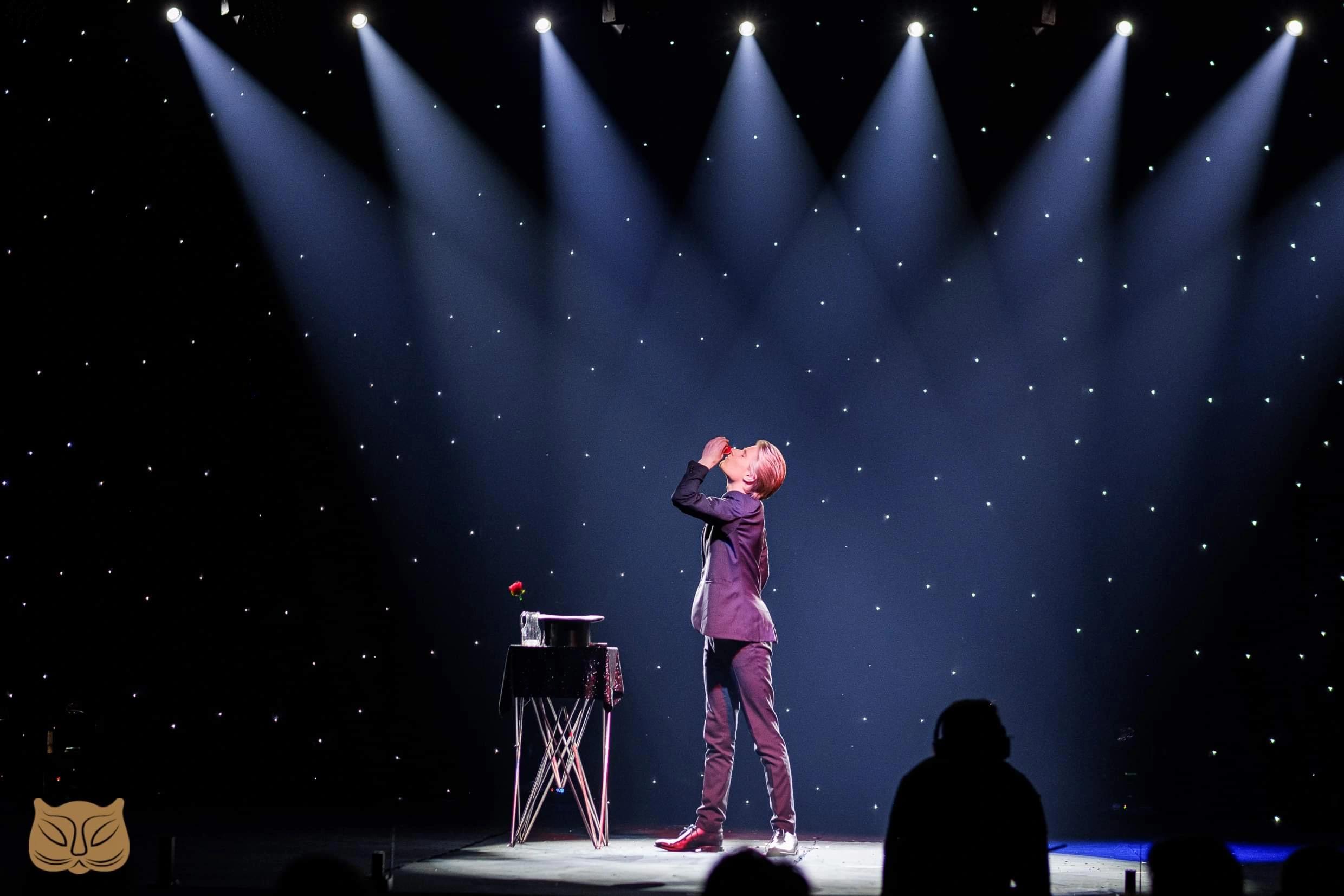 Galashow Golden Cat Gathering | Gabrovo | Bulgaria \ 1st prize winner Stage Competition Manipulation