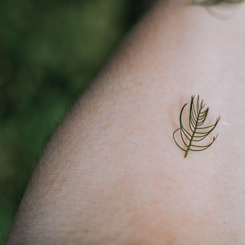 Minimalist tattoo guide: small, simple, clean designs