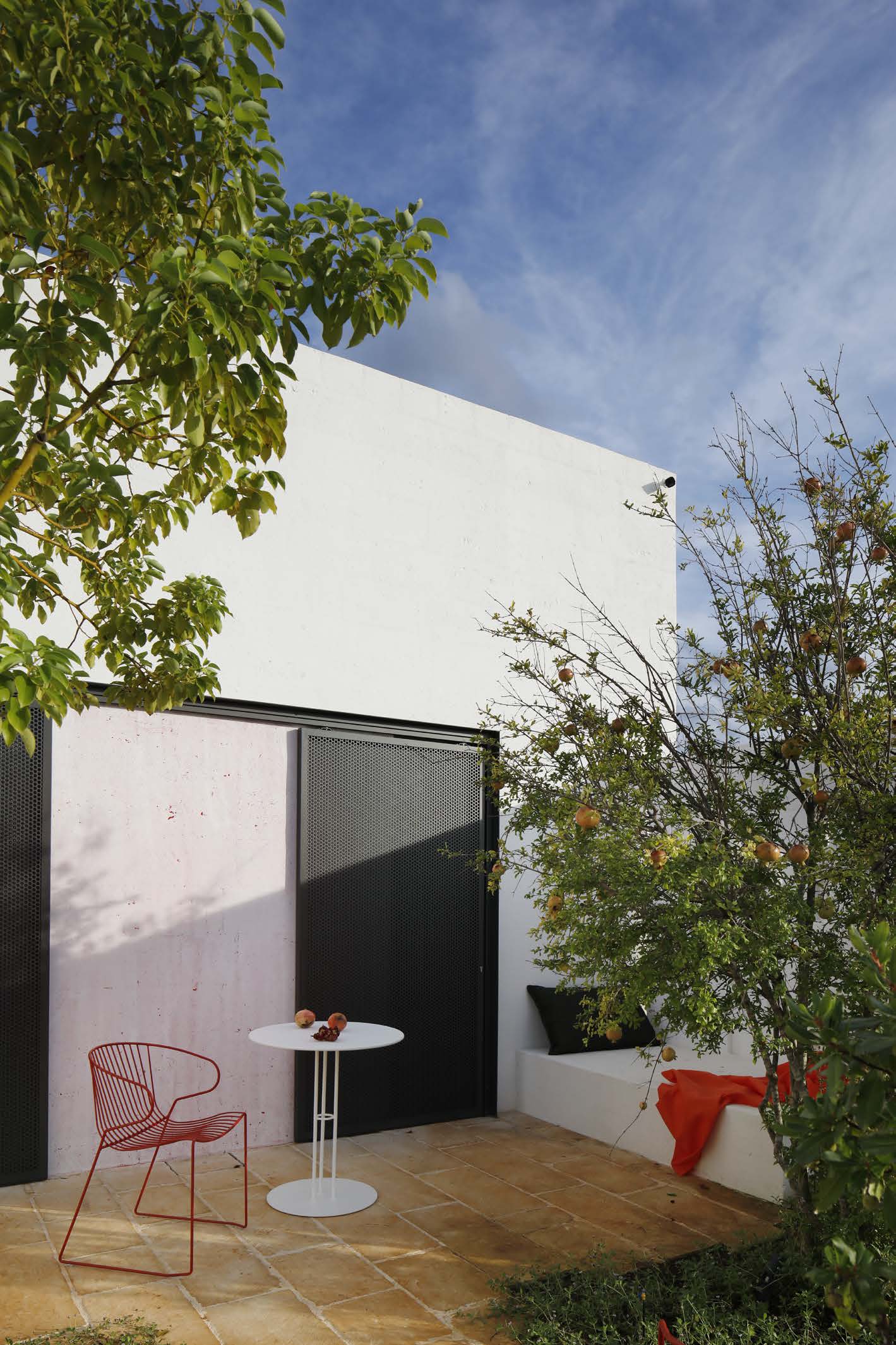 DAVID CANEK CARRUBO 28