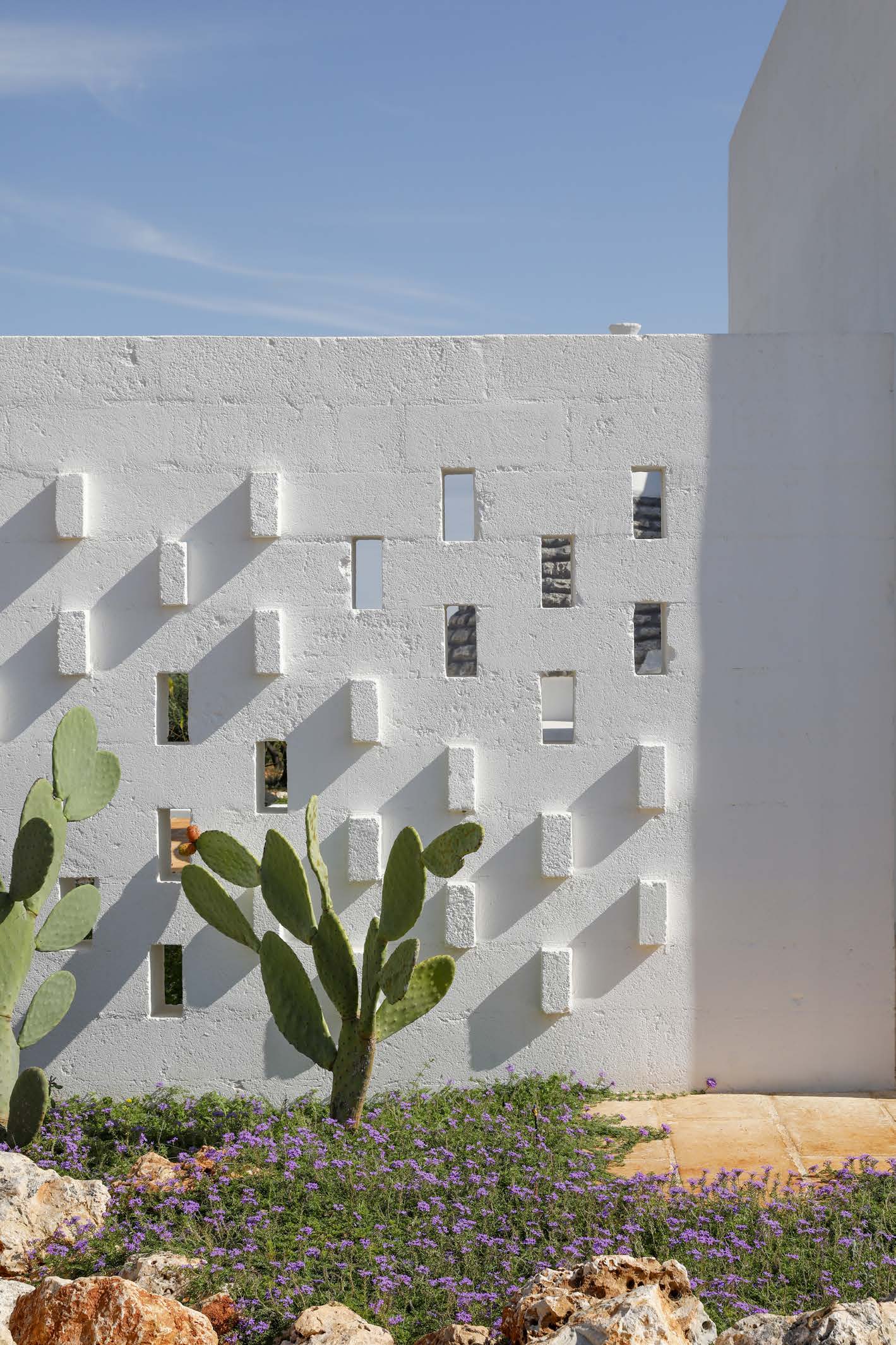 DAVID CANEK CARRUBO 33