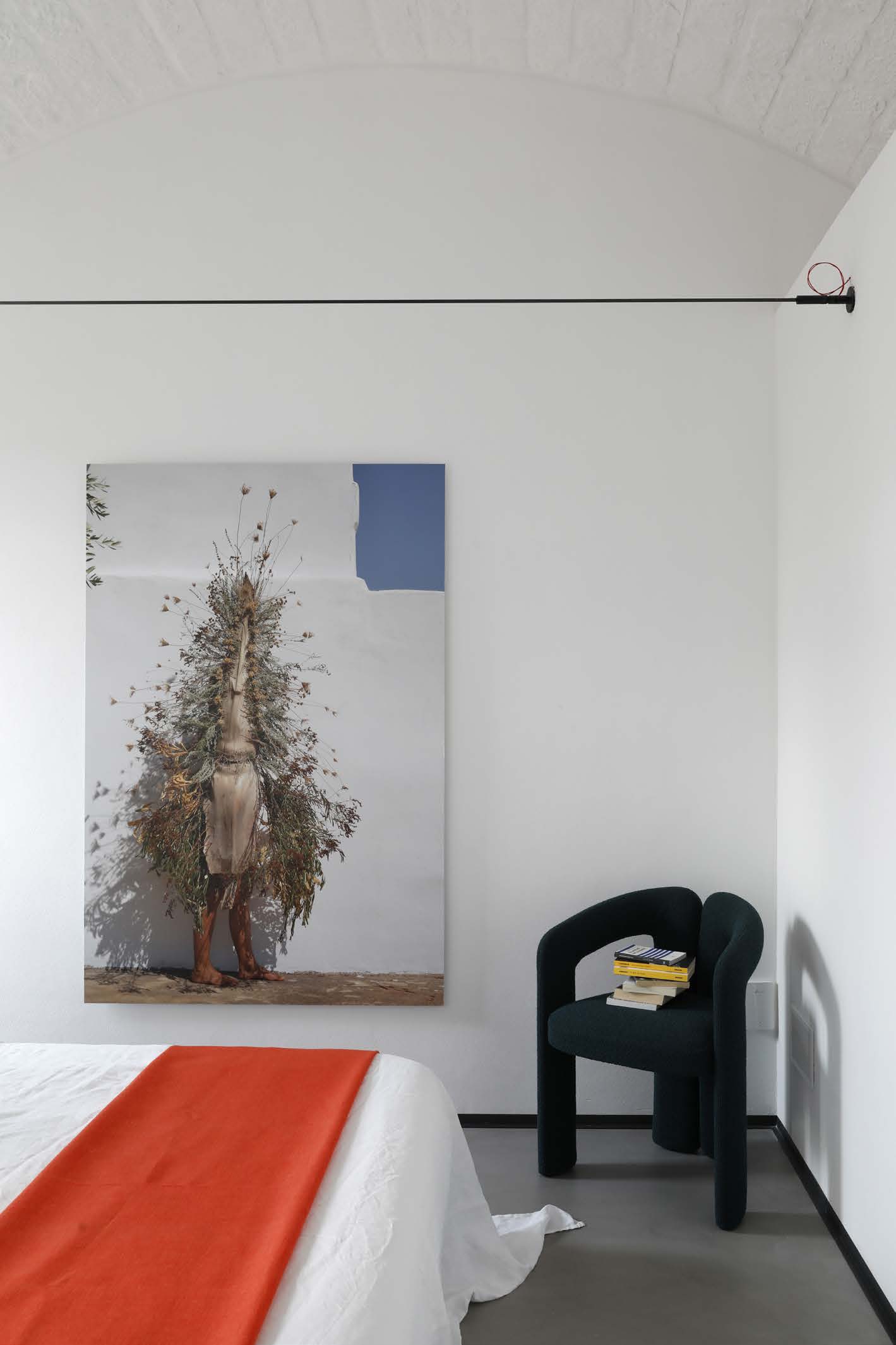 DAVID CANEK CARRUBO 27