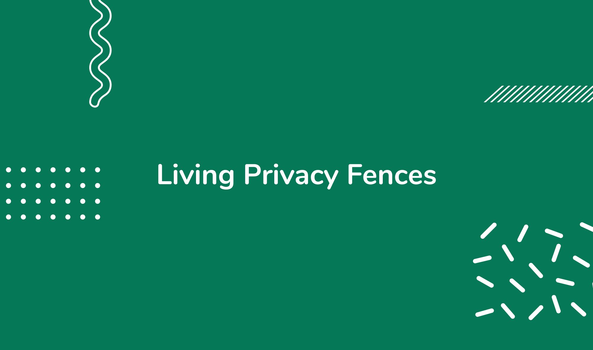 Living Privacy Fences