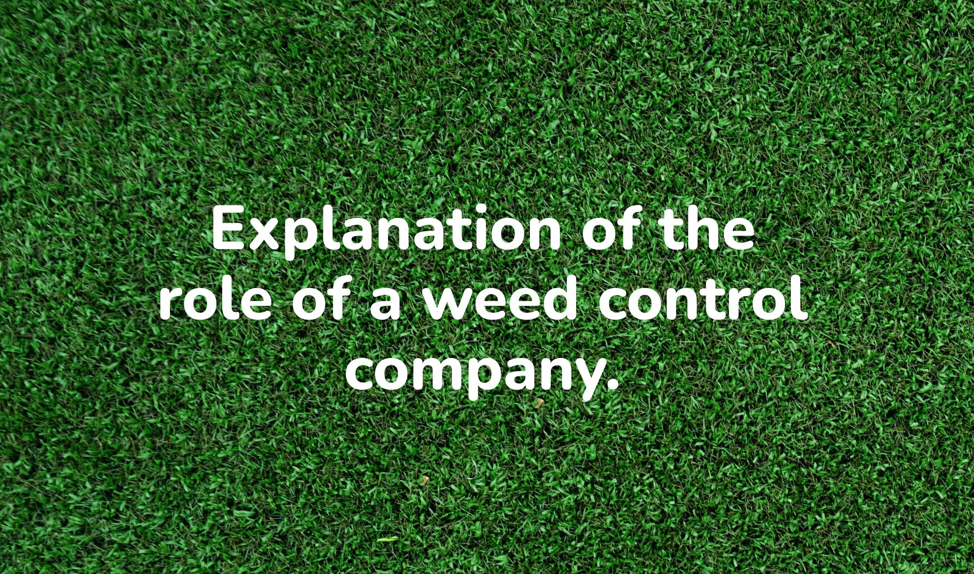 Explanation of the role of a weed control company.