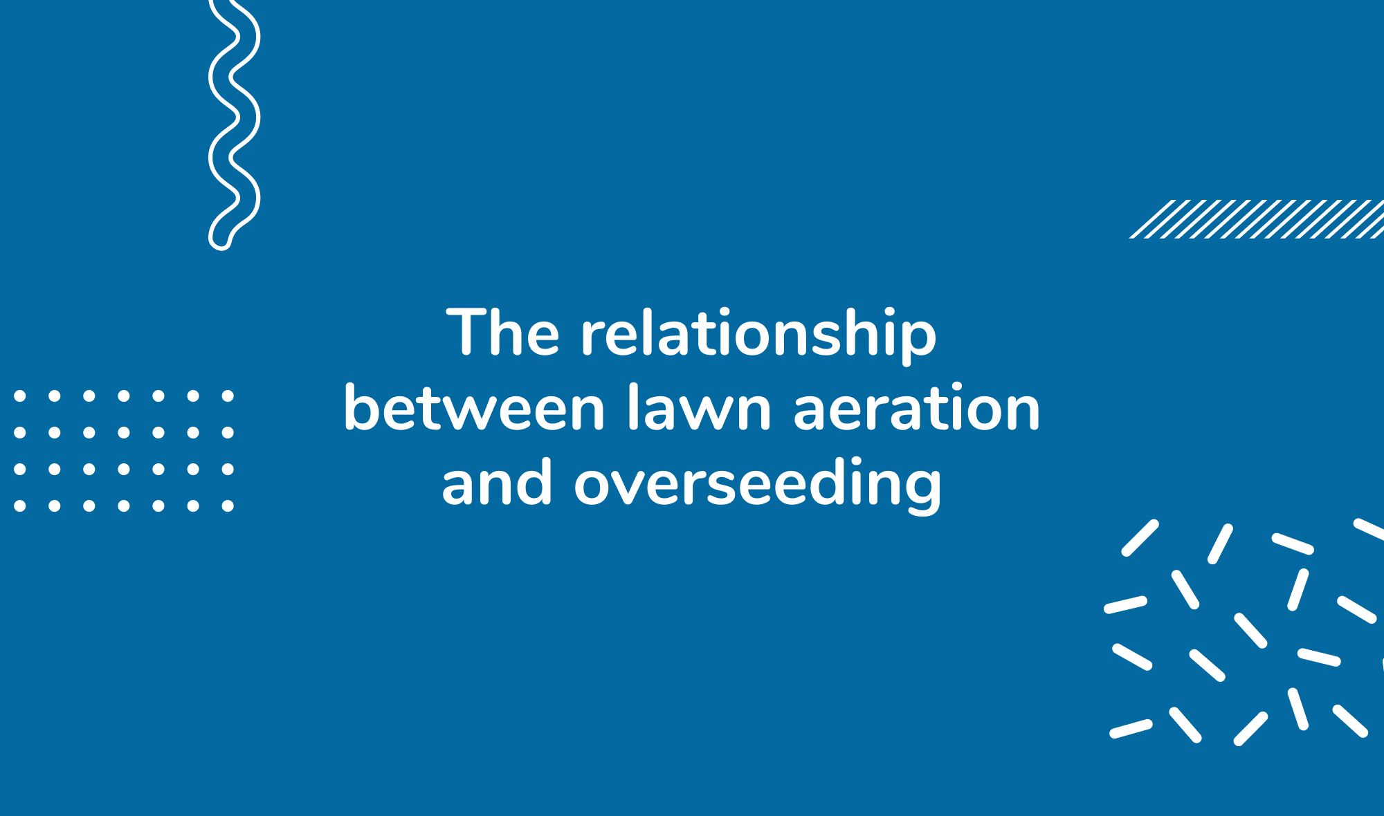 The relationship between lawn aeration and overseeding