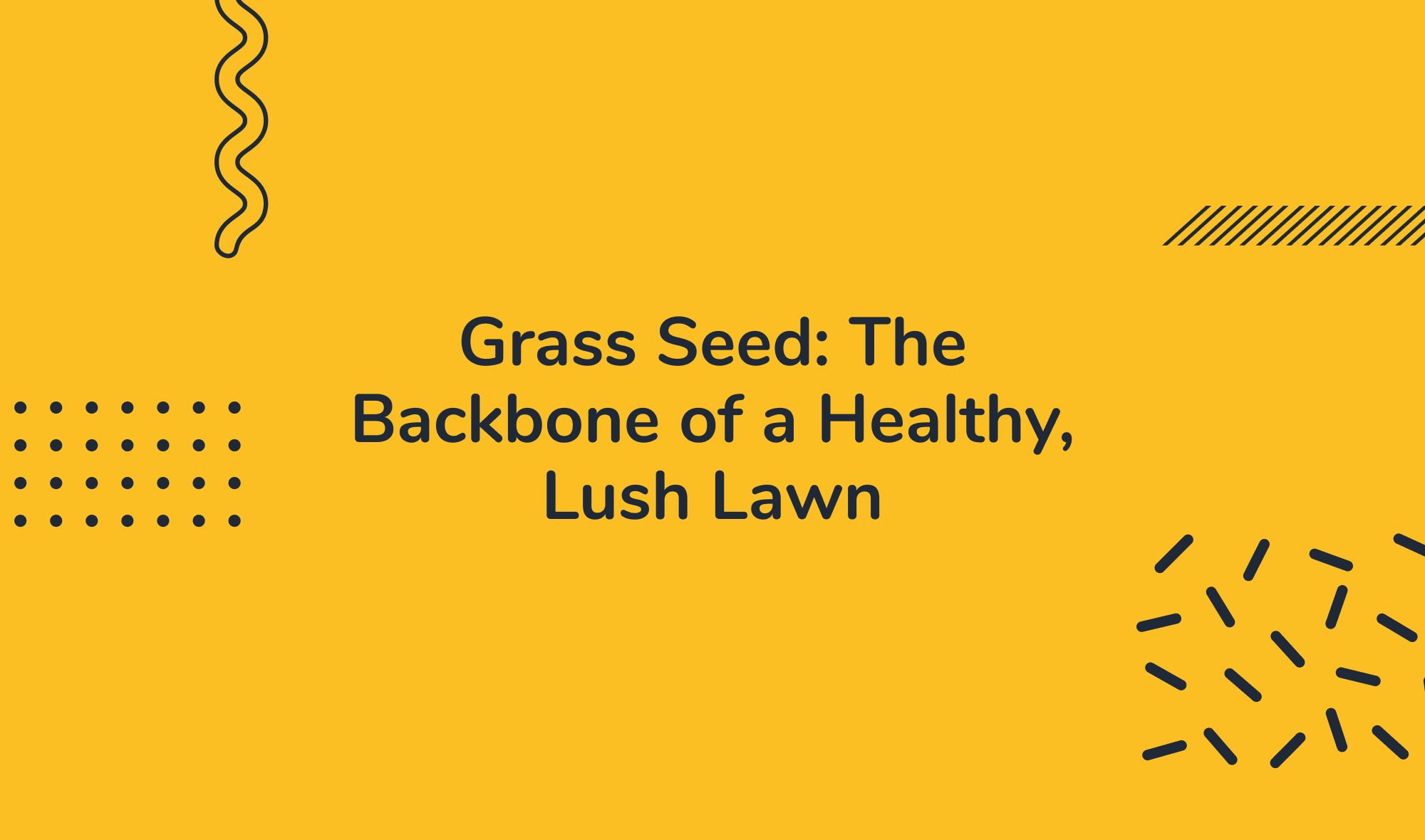 Grass Seed: The Backbone of a Healthy, Lush Lawn