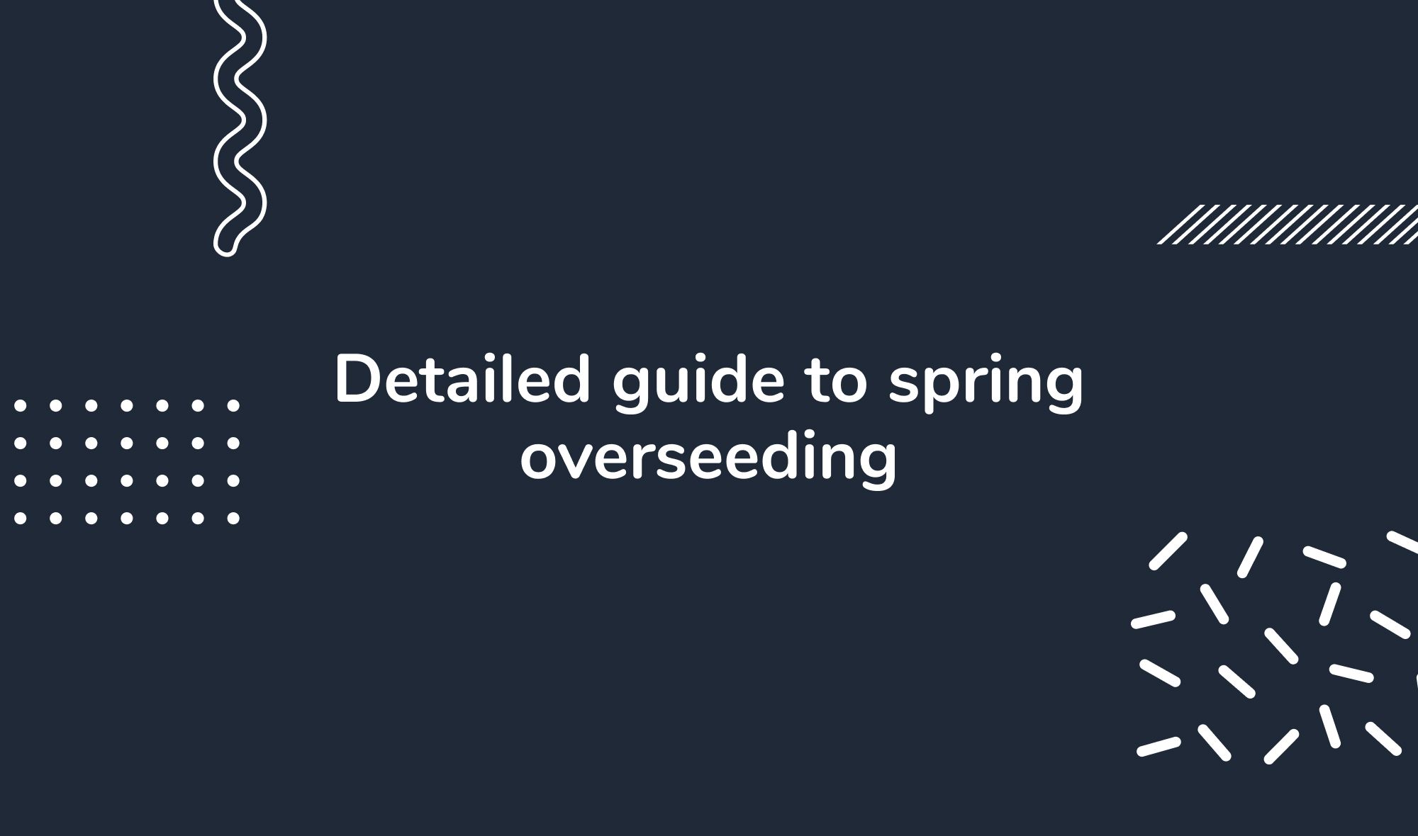 Detailed guide to spring overseeding