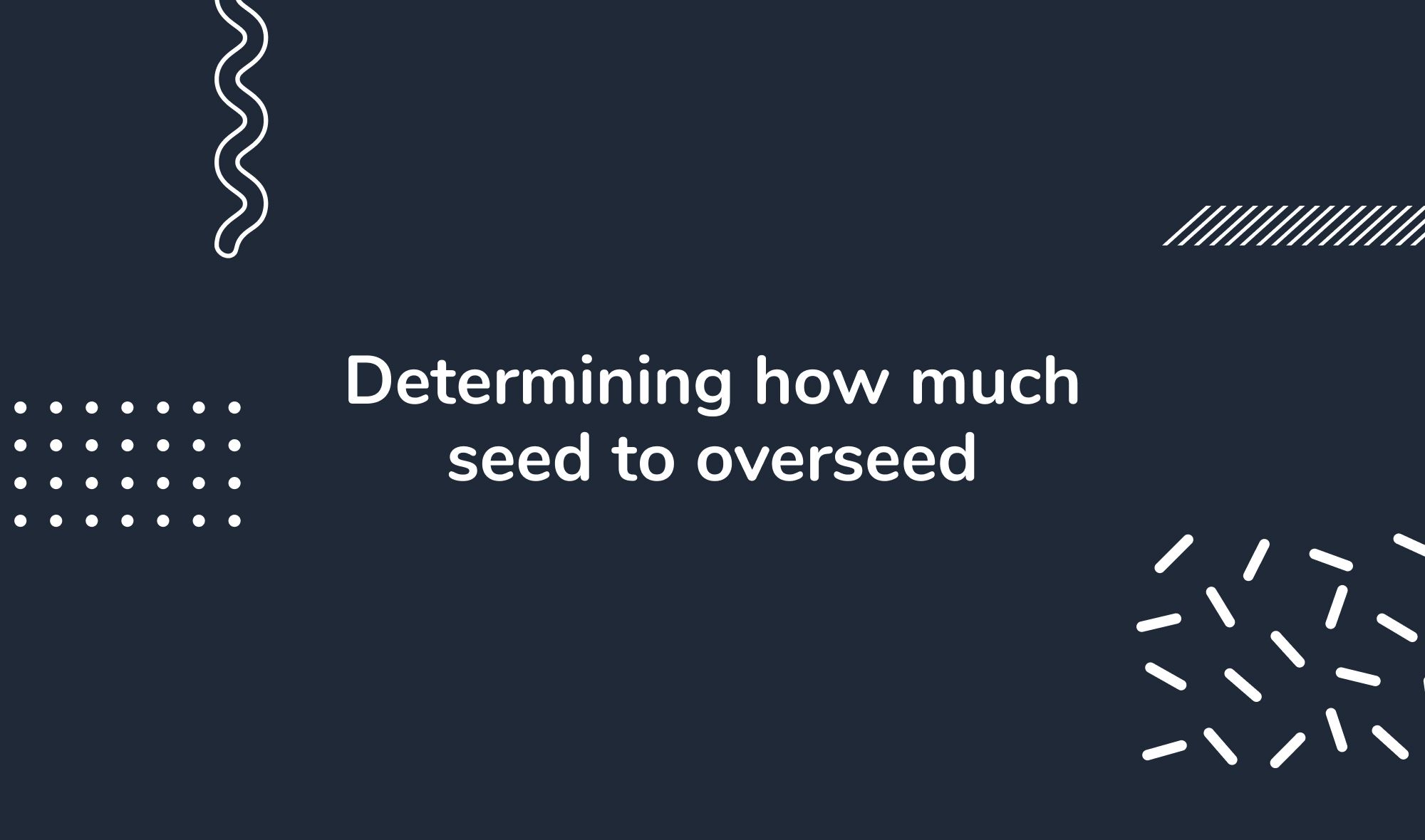 Determining how much seed to overseed