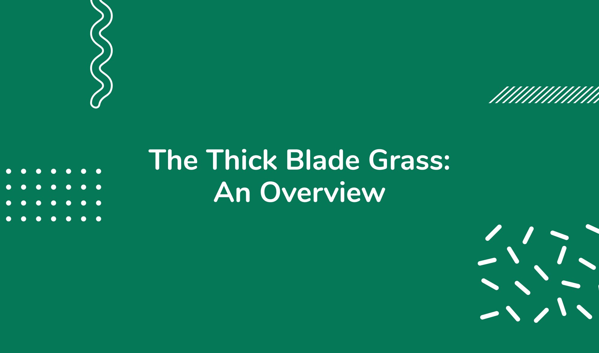 The Thick Blade Grass: An Overview