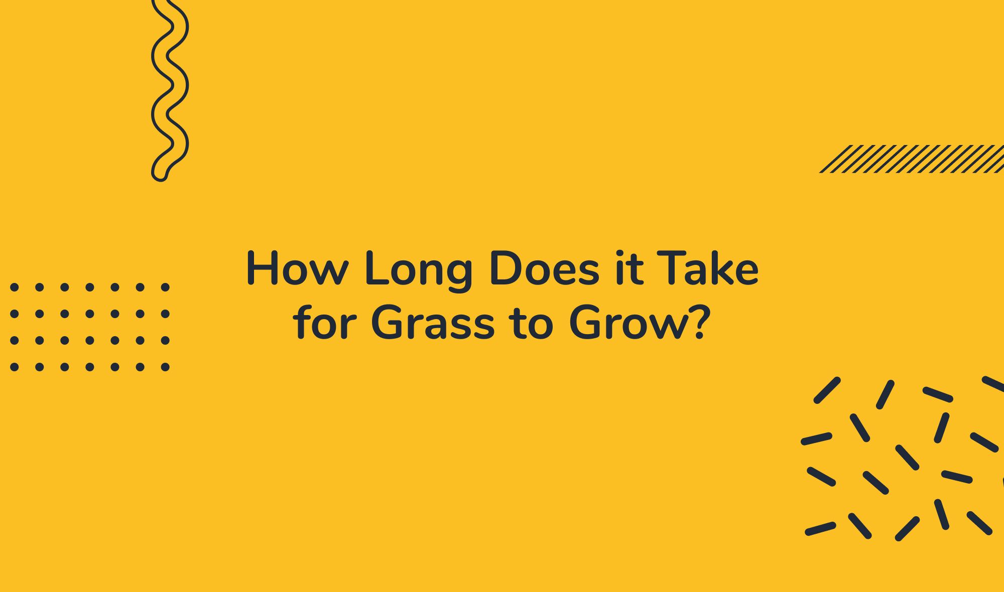 How Long Does it Take for Grass to Grow?