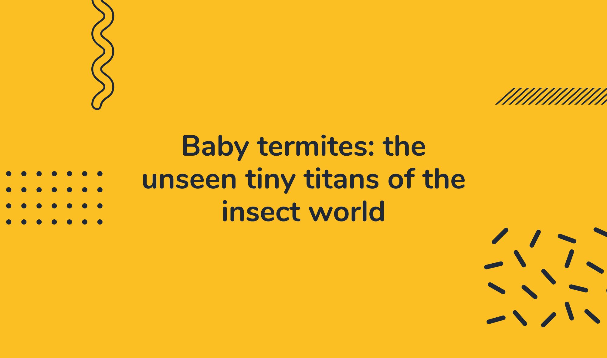 Baby termites: the unseen tiny titans of the insect world