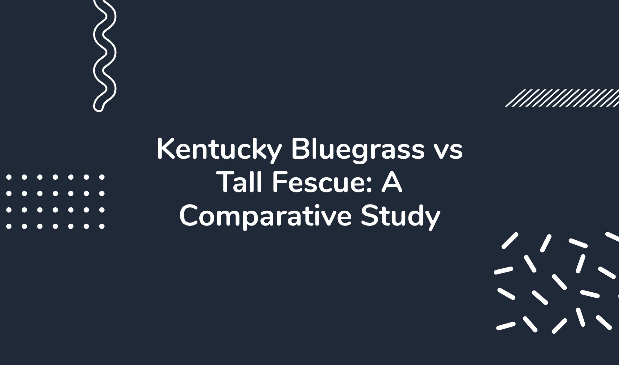 Kentucky Bluegrass vs Tall Fescue: A Comparative Study