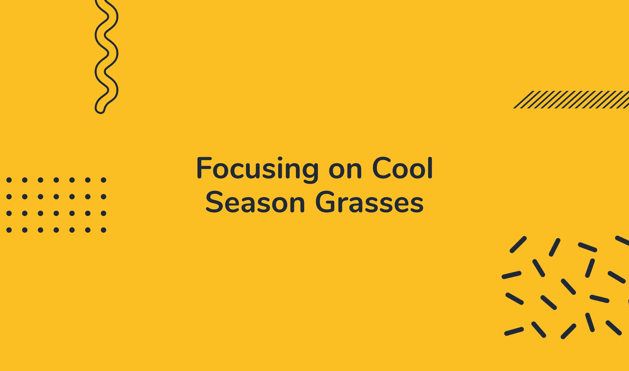 Focusing on Cool Season Grasses