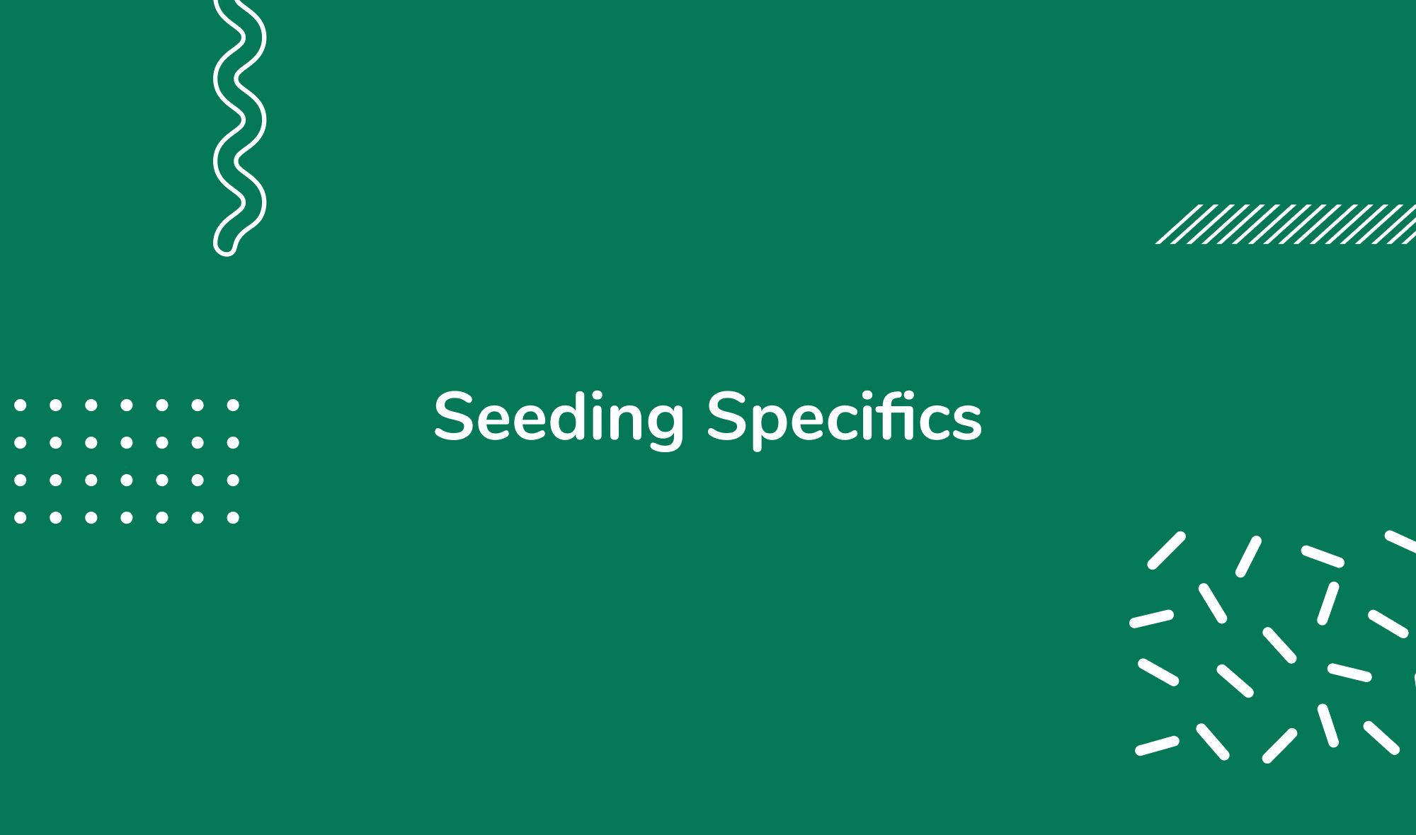 Seeding Specifics: Pinpointing the Best Time to Overseed Lawn