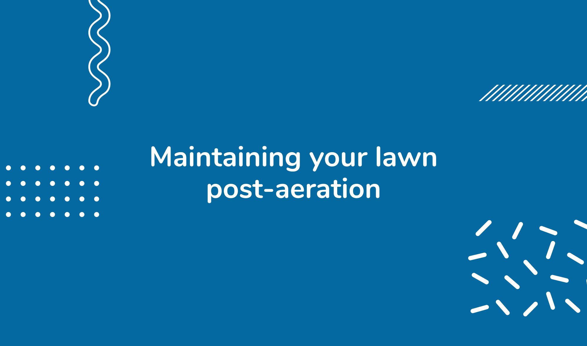 Maintaining your lawn post-aeration