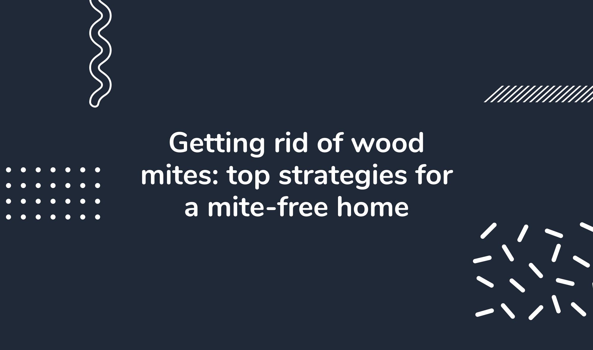 Getting rid of wood mites: top strategies for a mite-free home