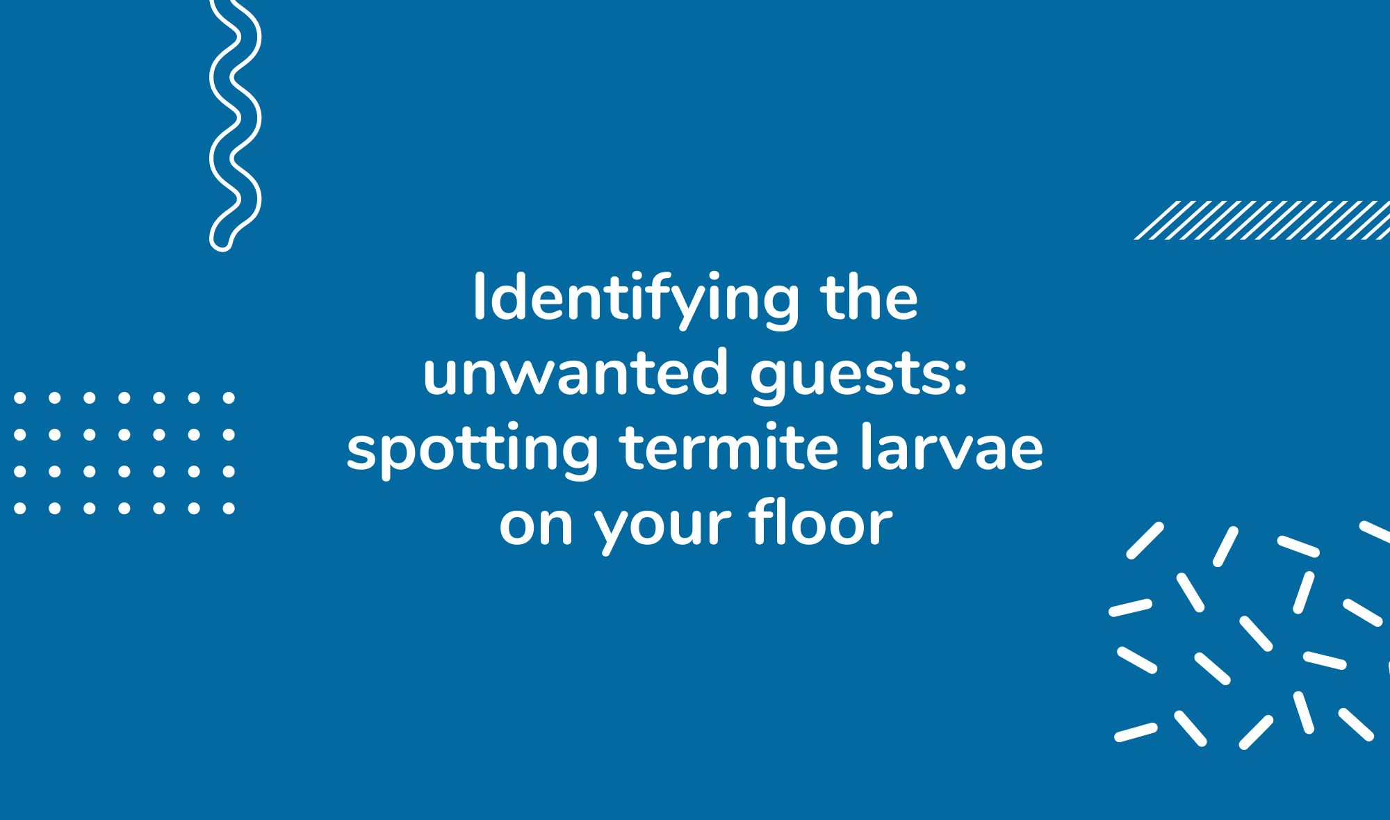 Identifying the unwanted guests: spotting termite larvae on your floor