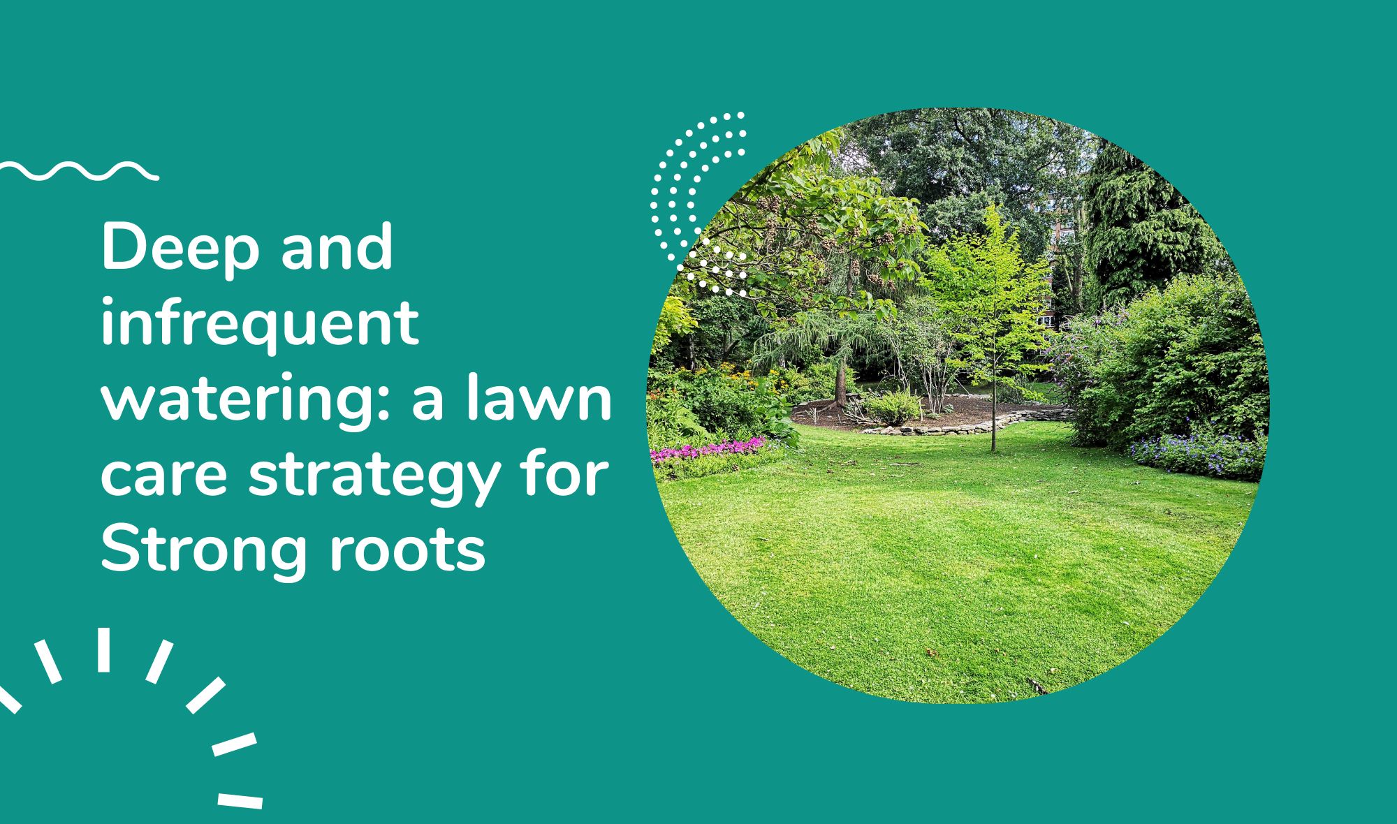 #2 Deep and infrequent watering: a lawn care strategy for Strong roots