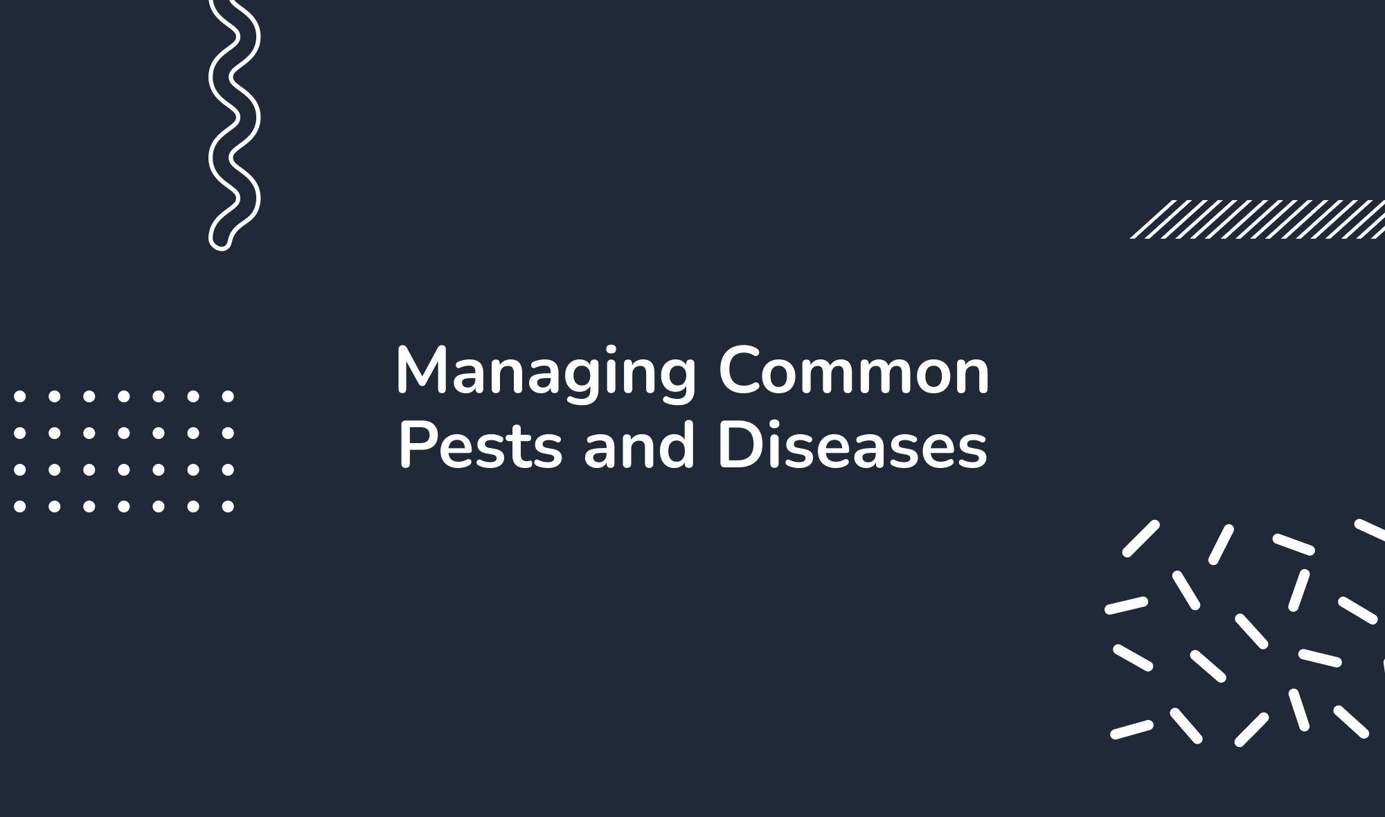 Managing Common Pests and Diseases
