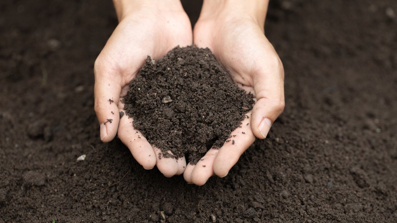 Free Fill Dirt: A Must for Garden Soil & Construction