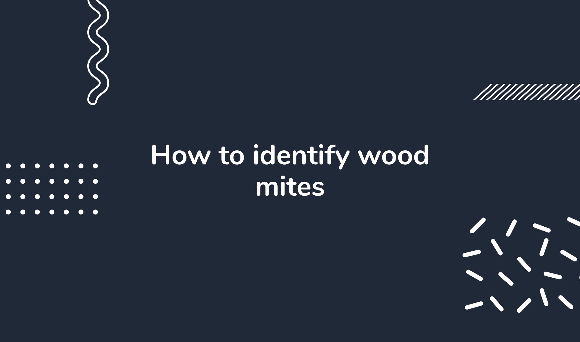 How to identify wood mites
