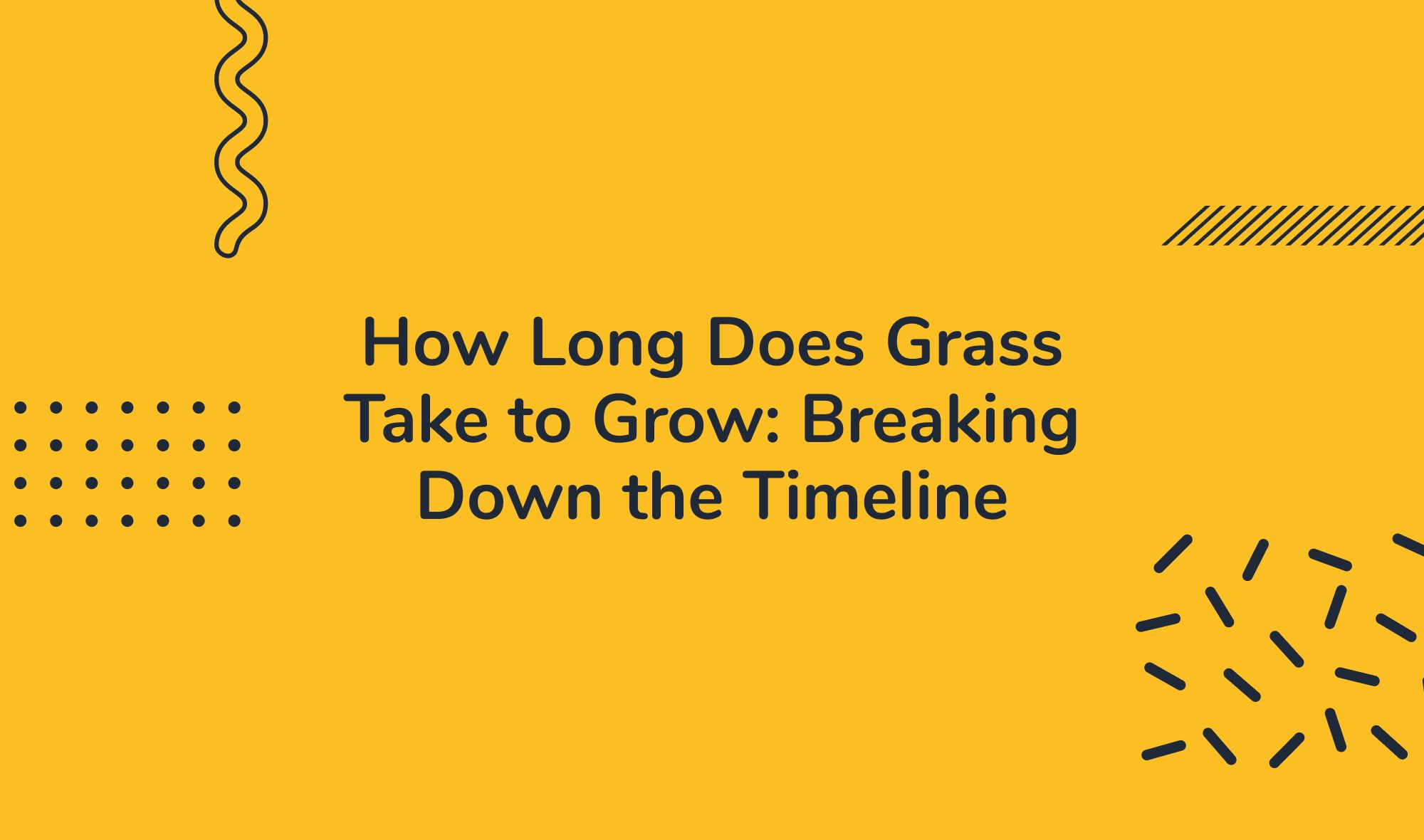How Long Does Grass Take to Grow: Breaking Down the Timeline