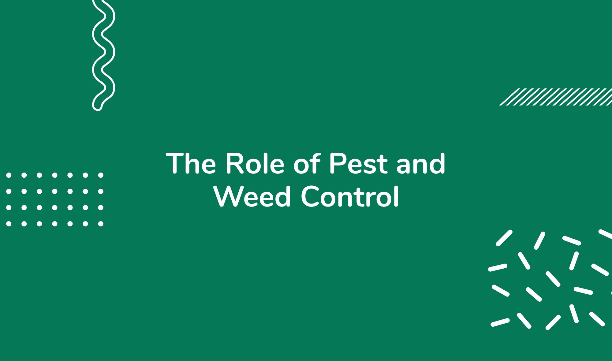 The Role of Pest and Weed Control in Maintaining a Green Lawn