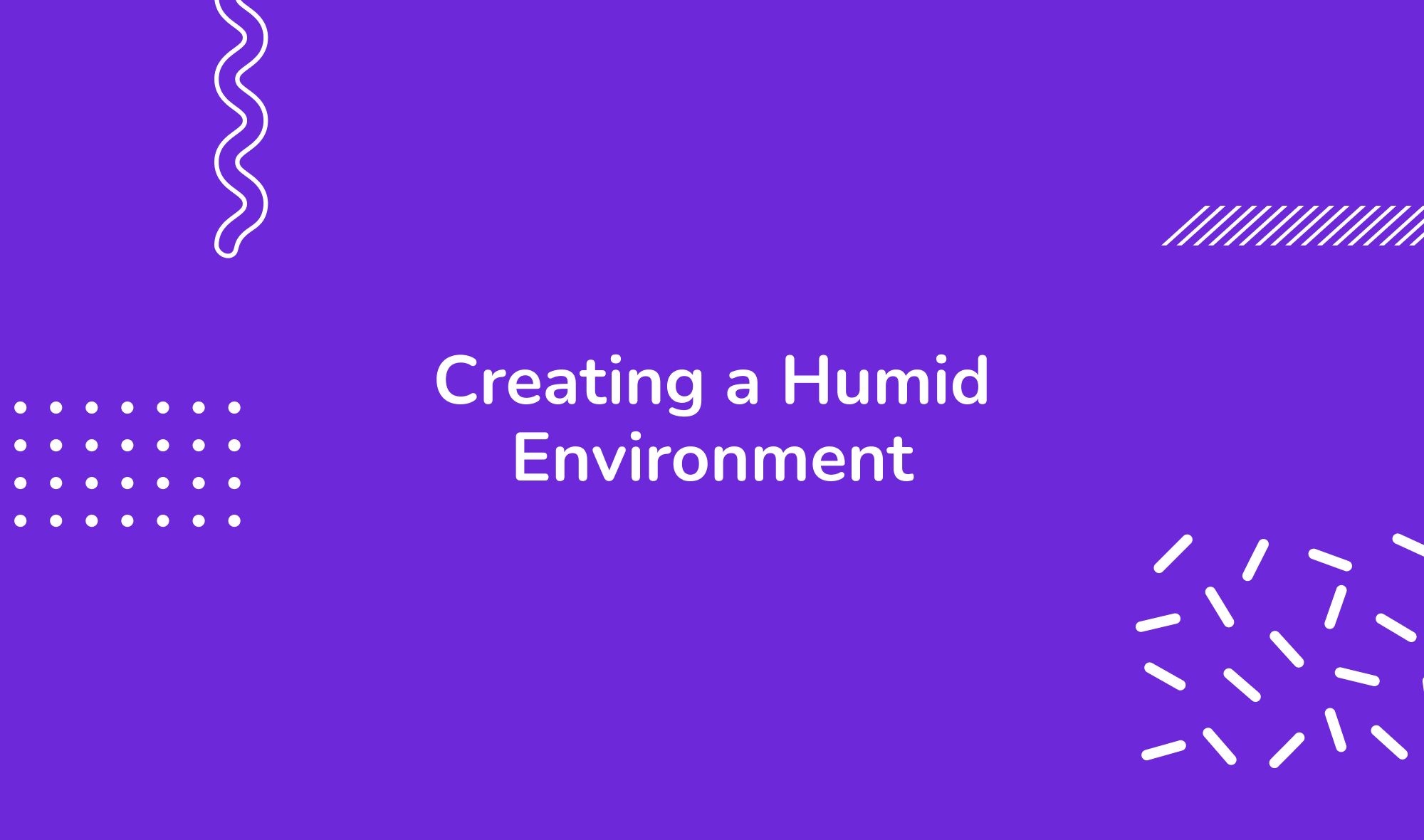 Creating a Humid Environment: Making Your Philodendron Verrucosum Feel at Home