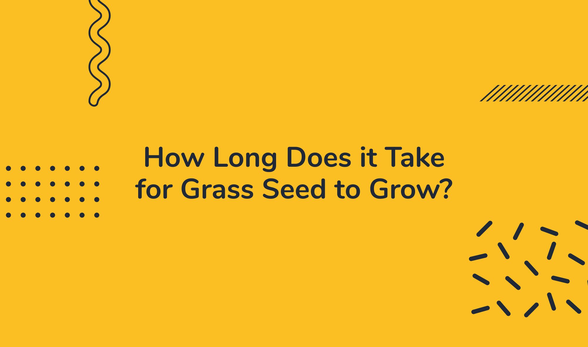 How Long Does it Take for Grass Seed to Grow?