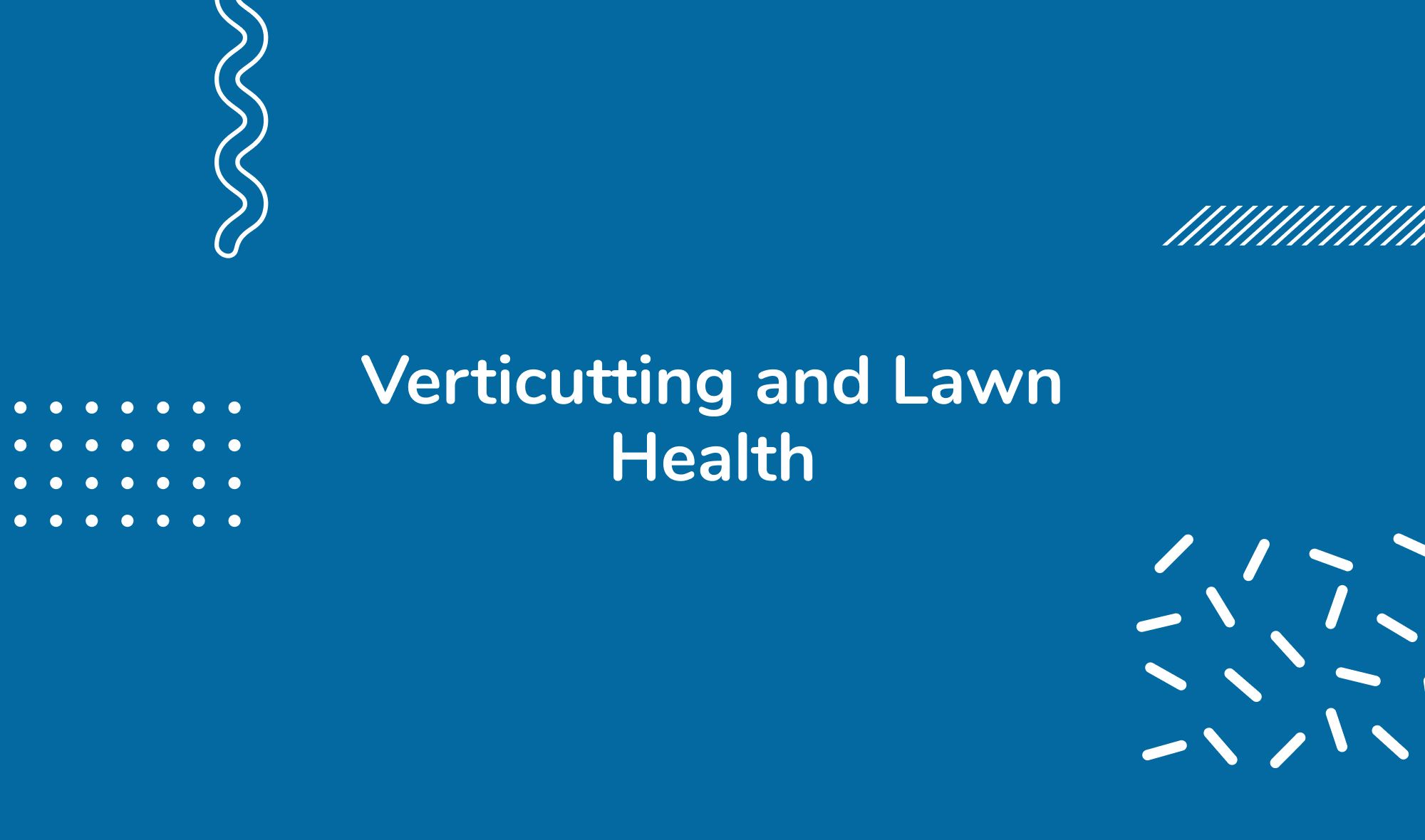 Verticutting and Lawn Health: Why It's Crucial